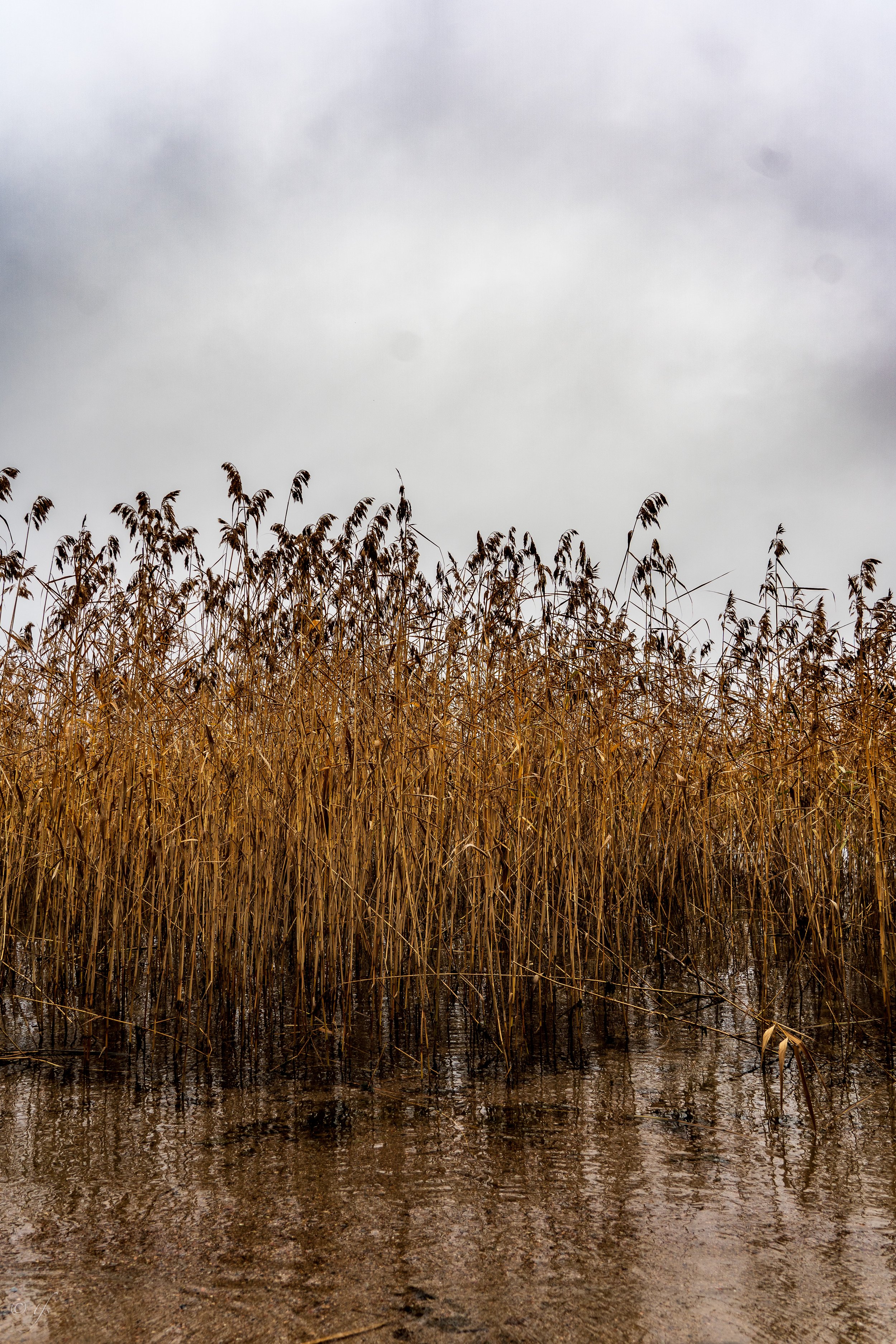 finlandwebsite-37.jpg