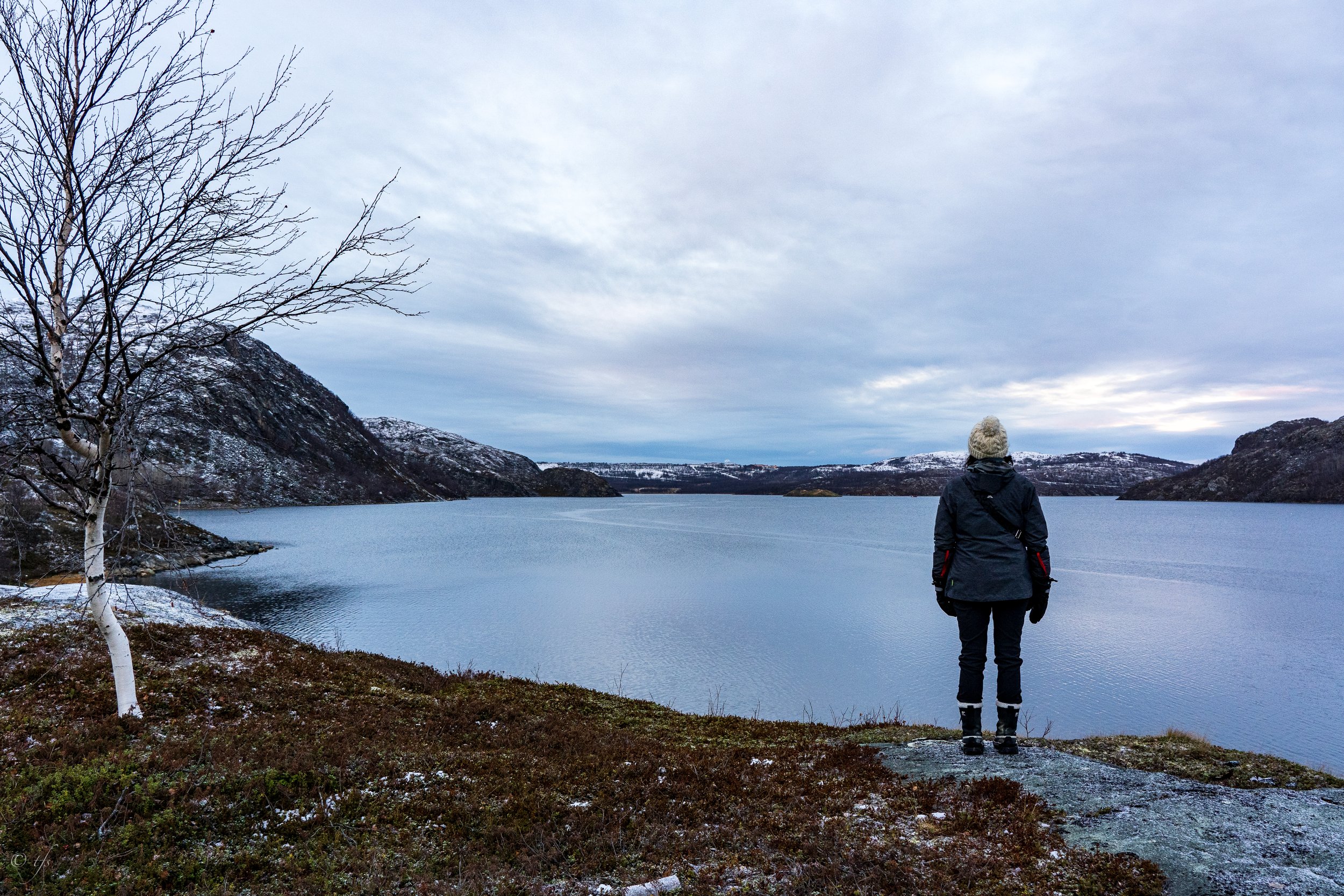 norway website-32.jpg
