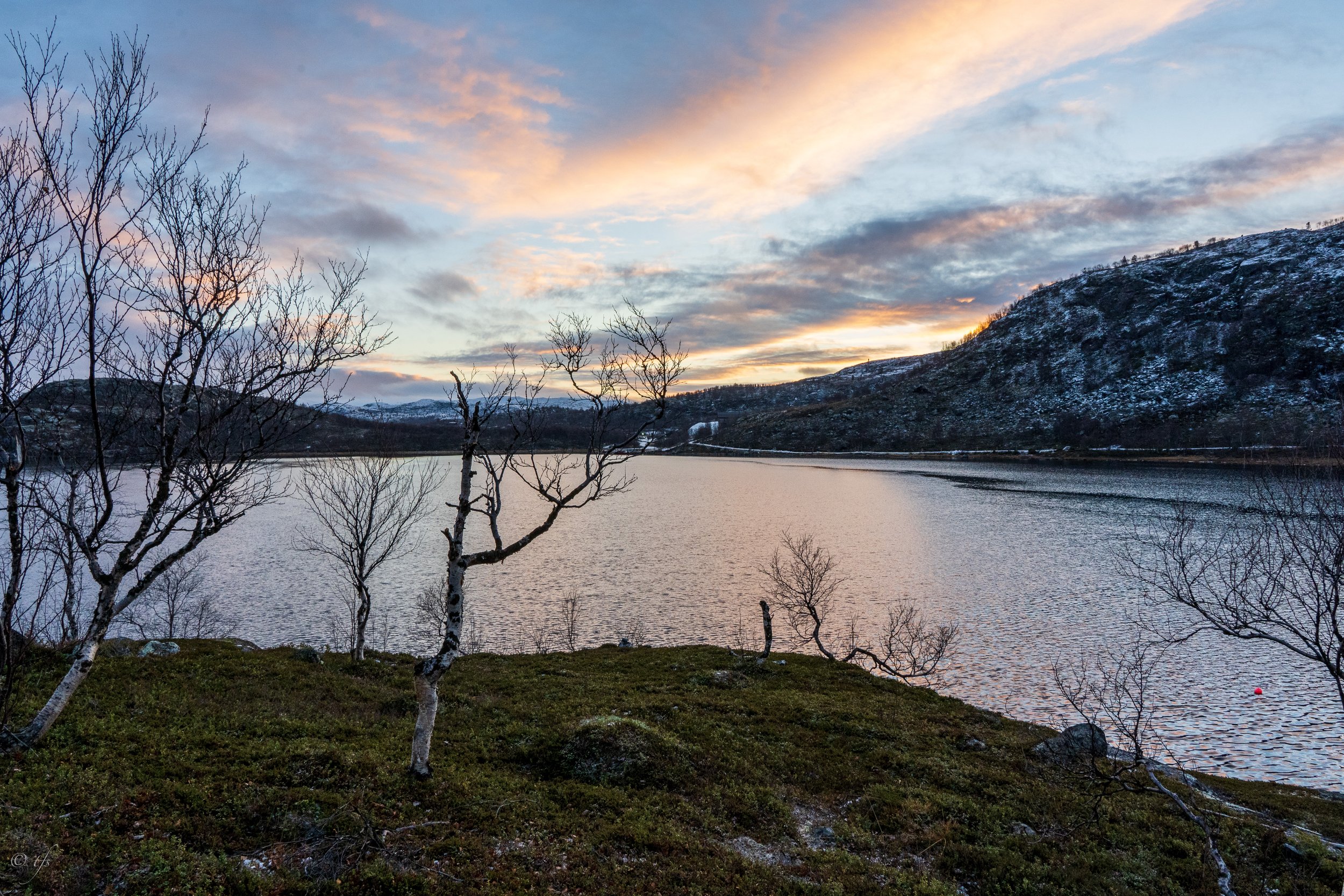 norway website-34.jpg