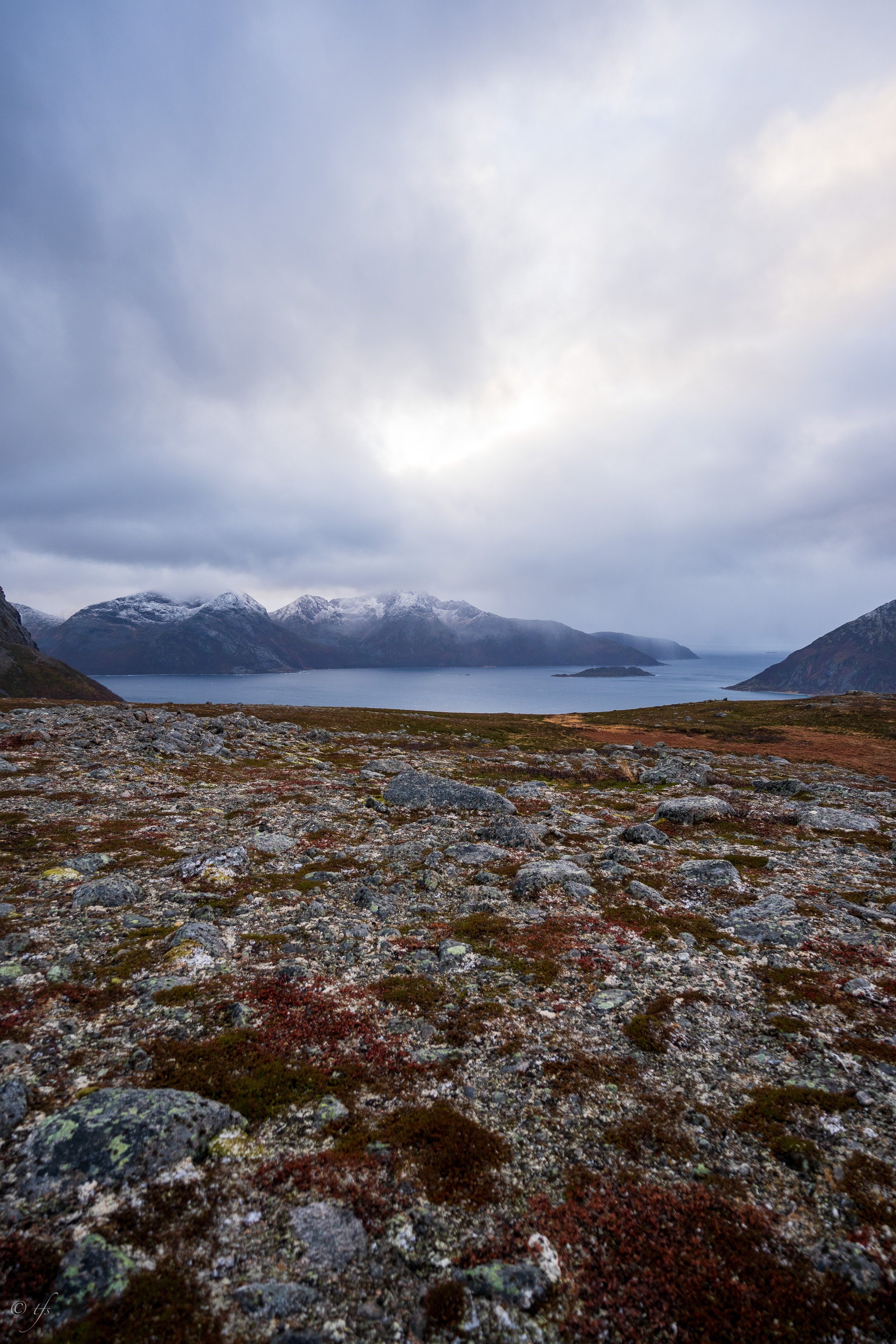 norway website-15.jpg