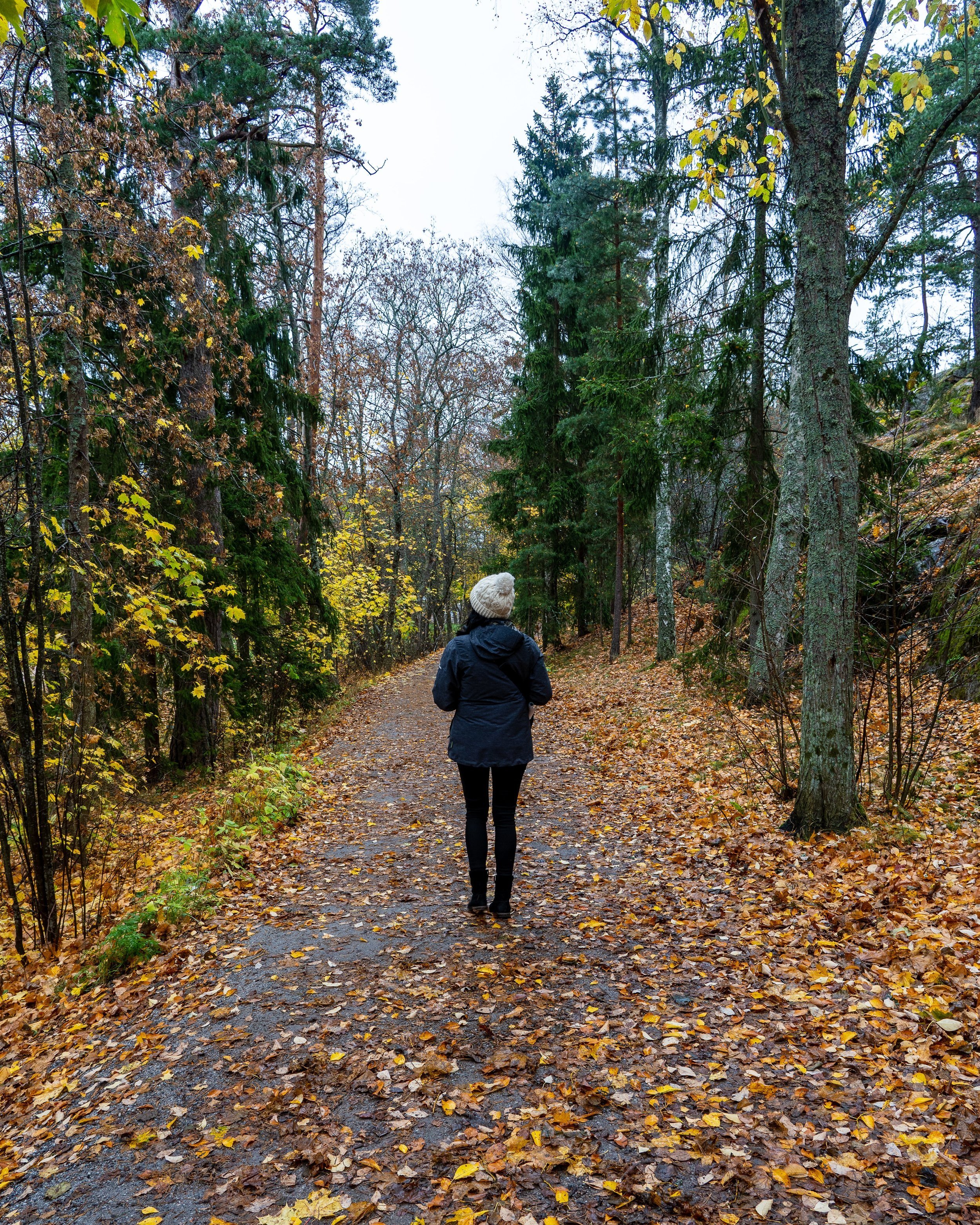 finlandwebsite-34.jpg