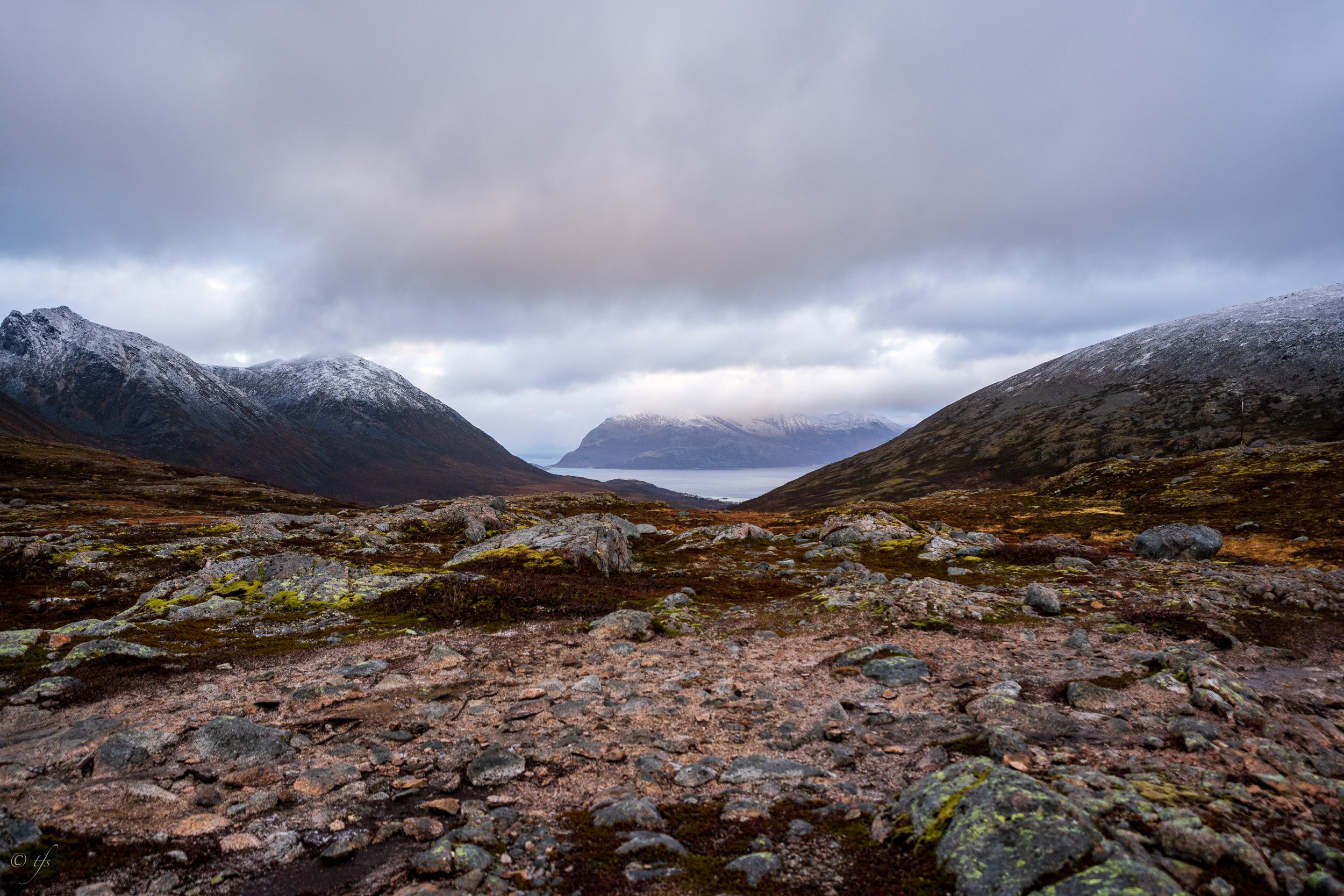 norway website-17.jpg