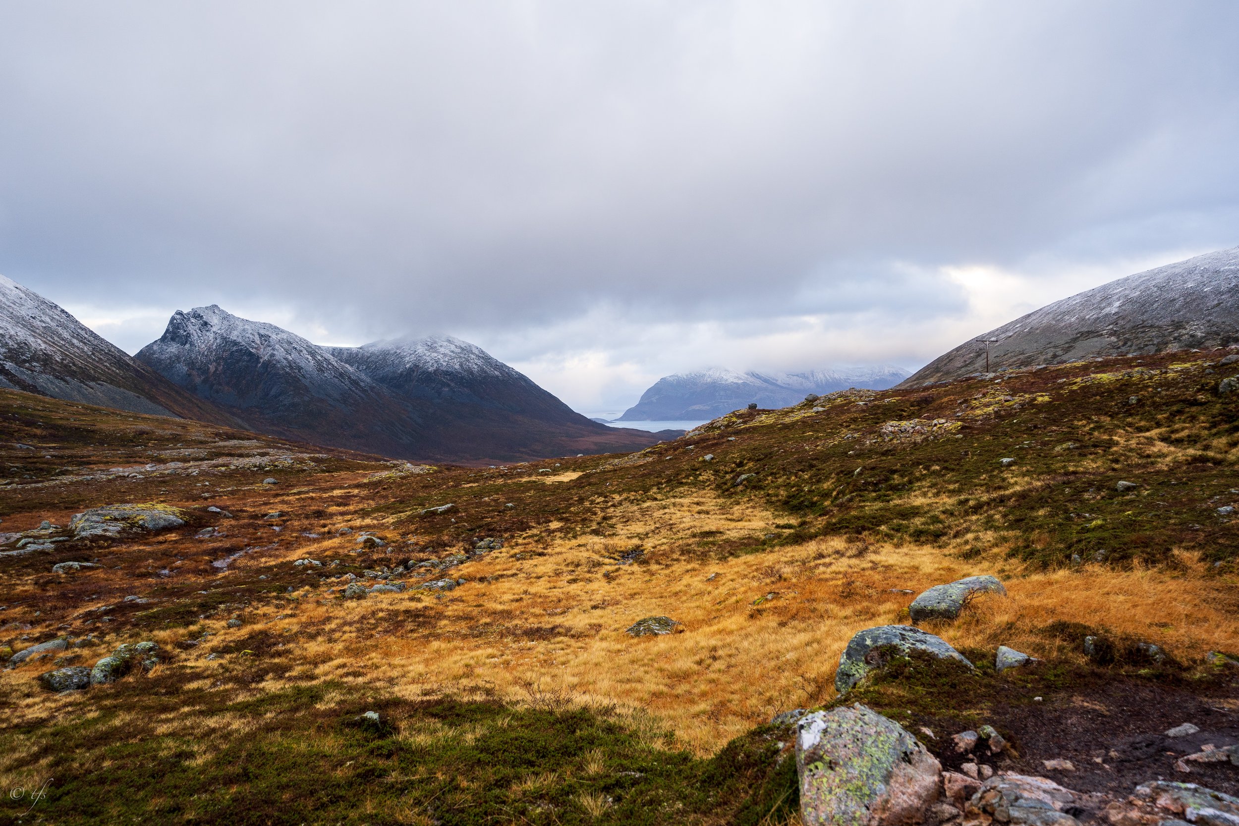 norway website-18.jpg