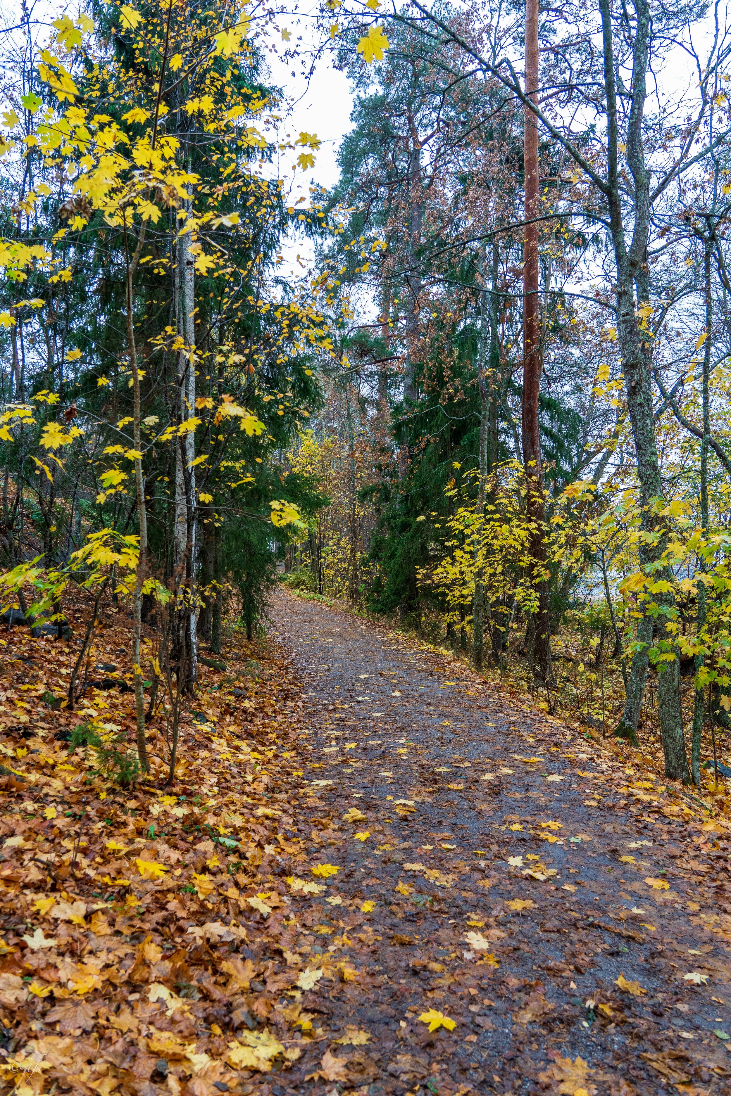 finlandwebsite-41.jpg