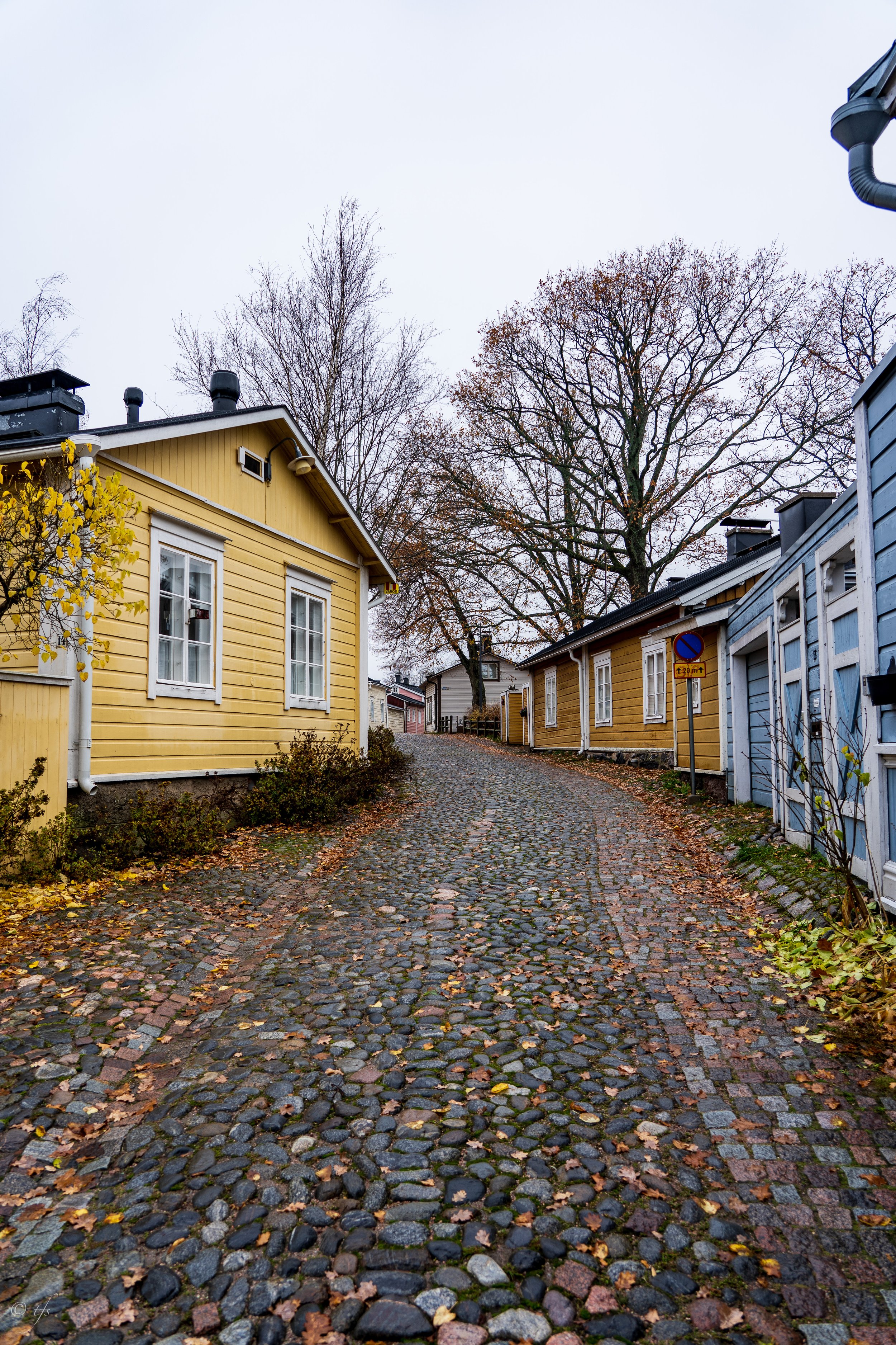 finlandwebsite-26.jpg