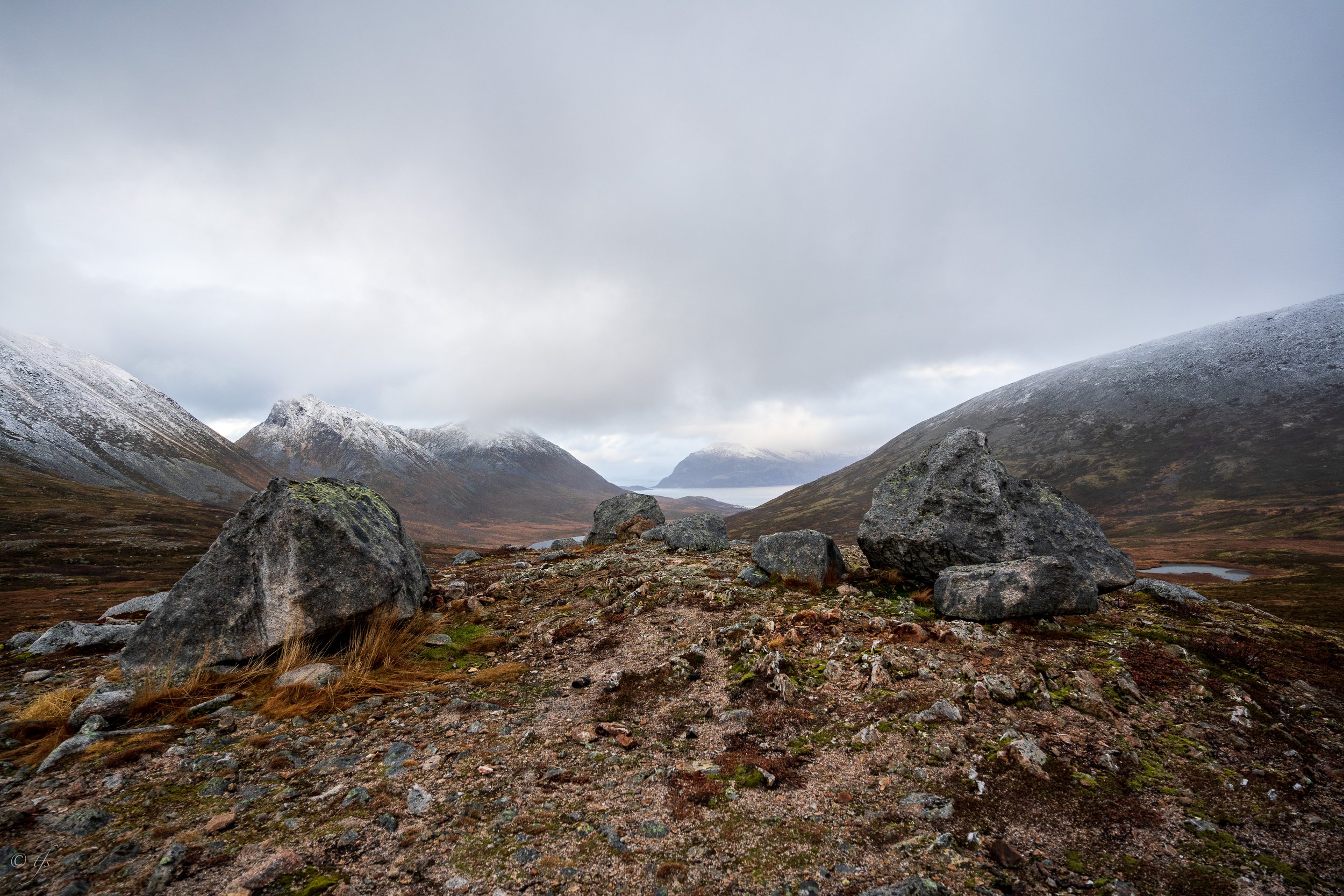 norway website-20.jpg