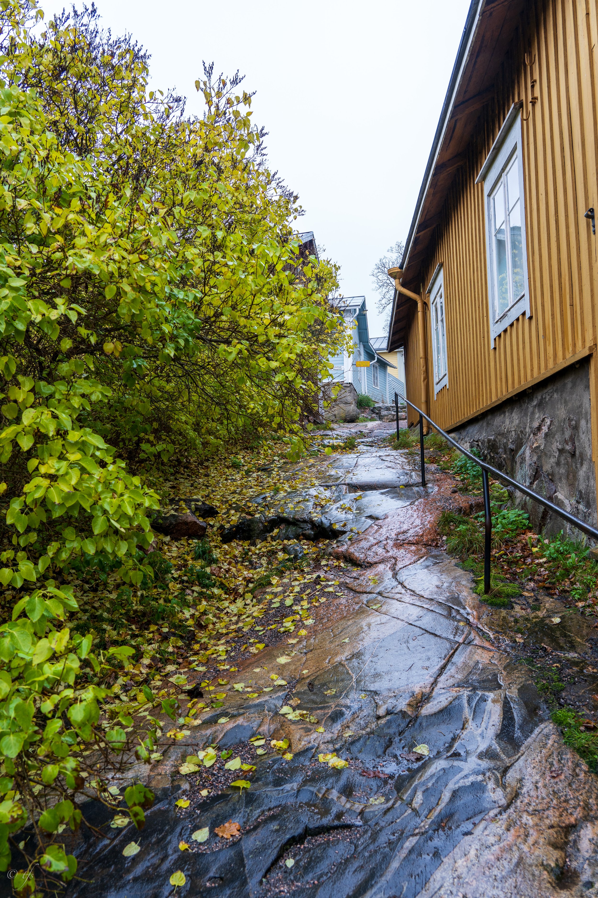finlandwebsite-28.jpg
