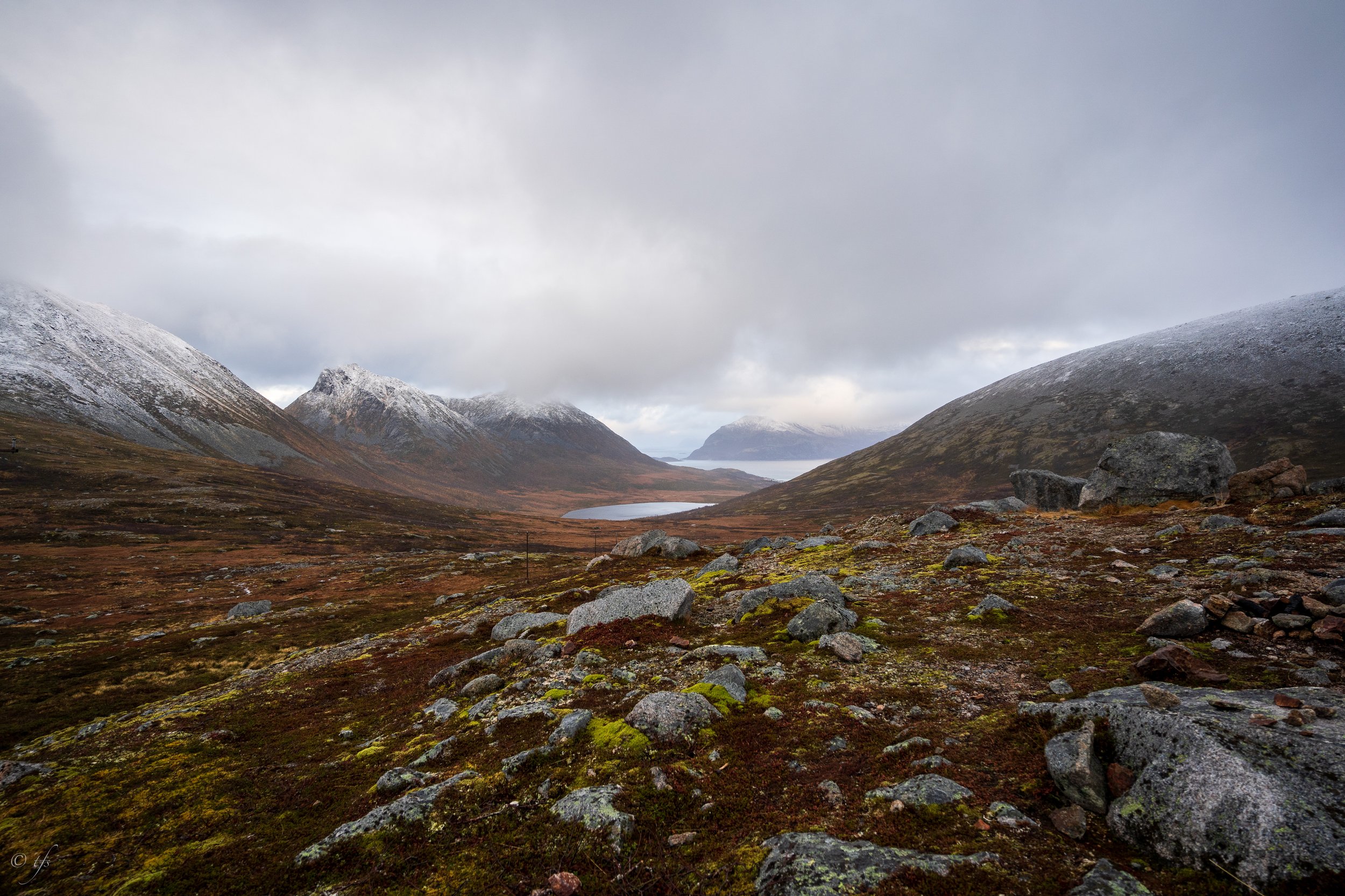 norway website-19.jpg