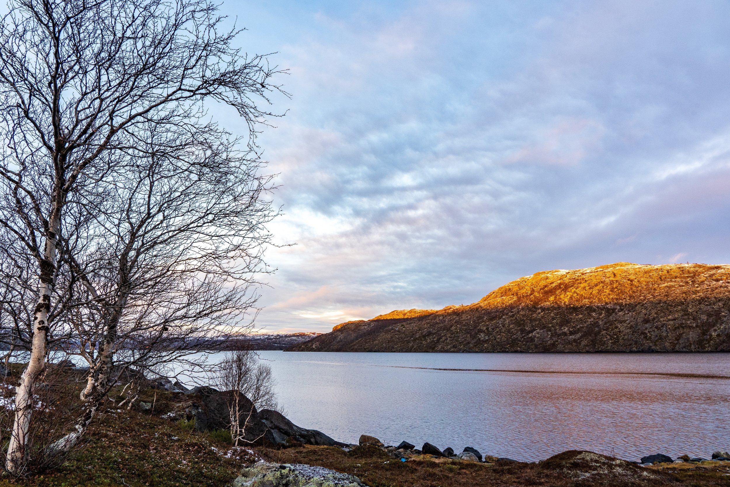 norway website-38.jpg