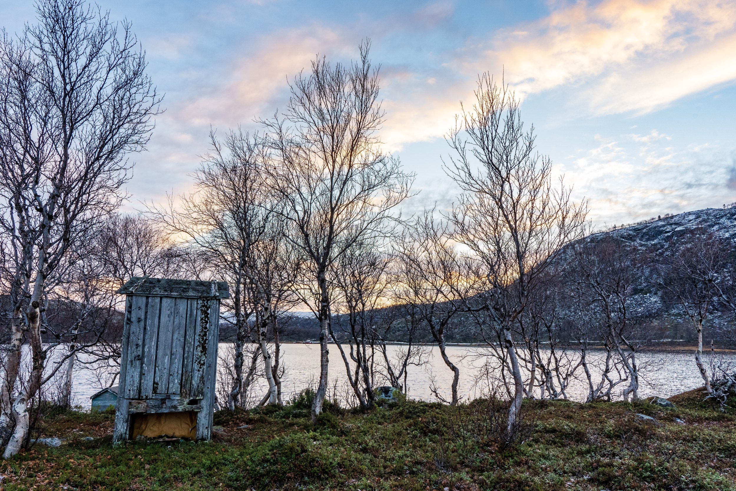 norway website-37.jpg