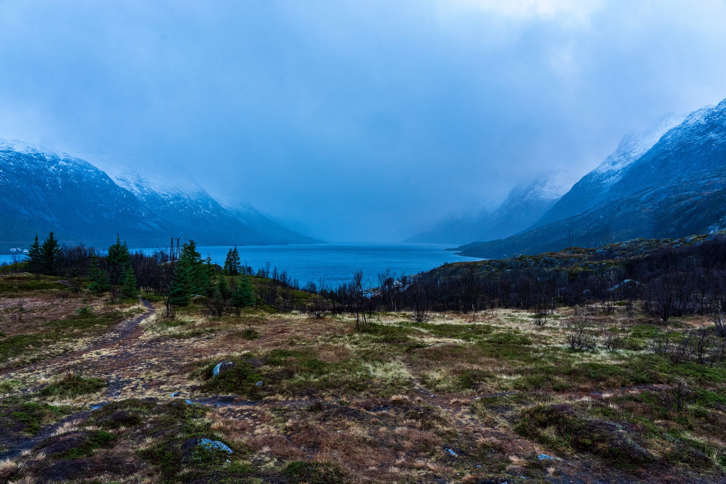 norway website-26.jpg