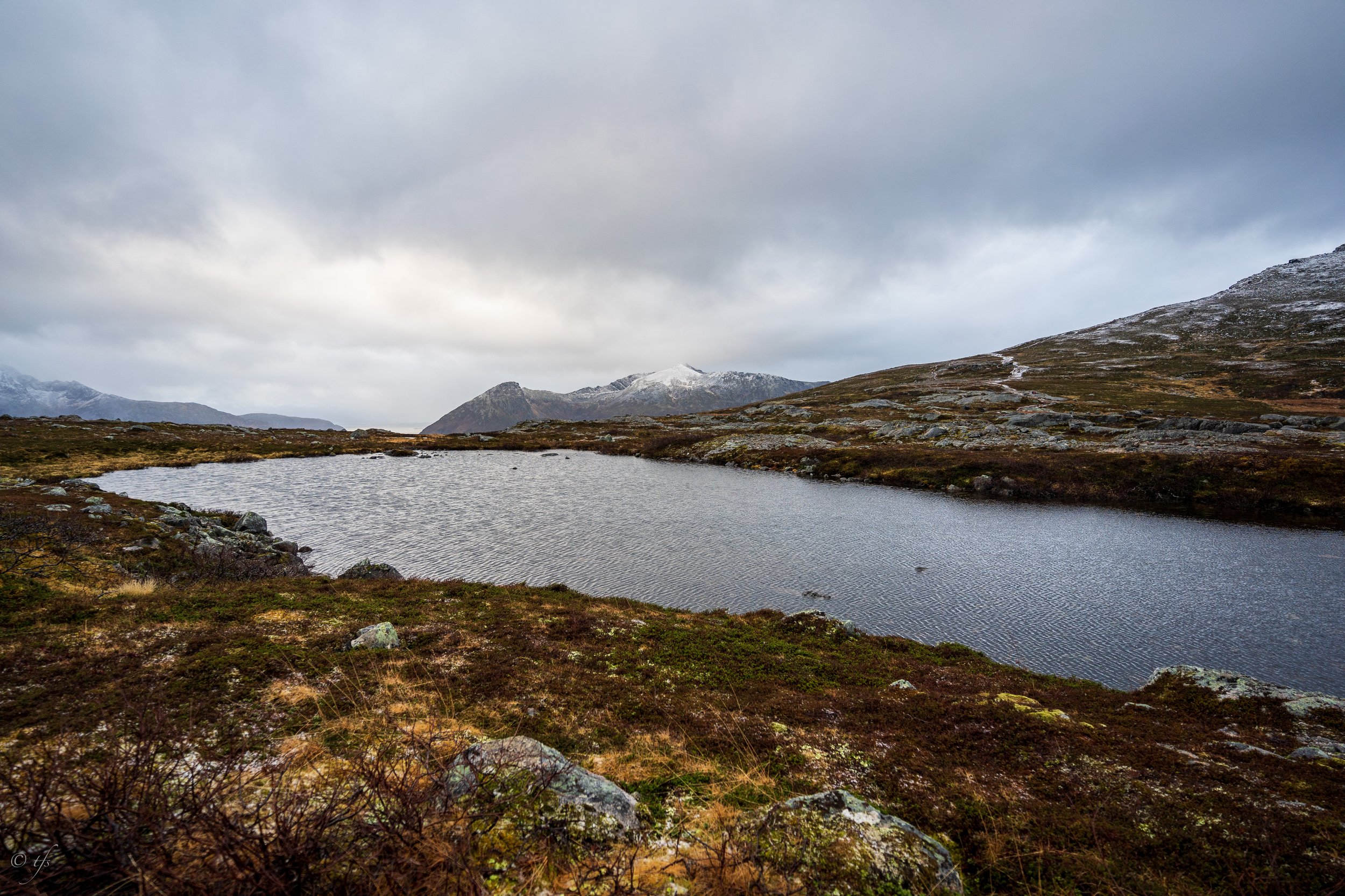 norway website-16.jpg