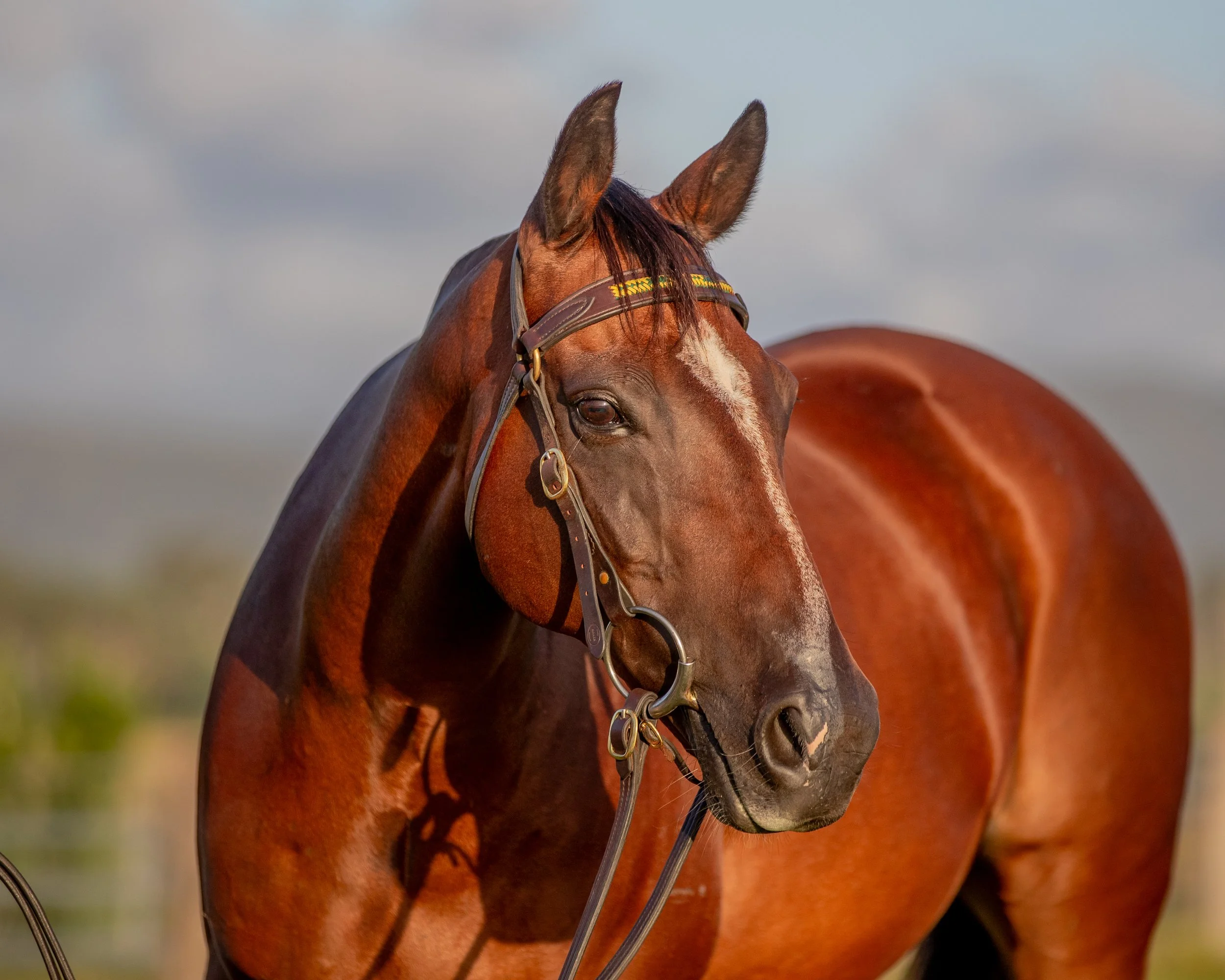 Lot 149 - 2.jpg