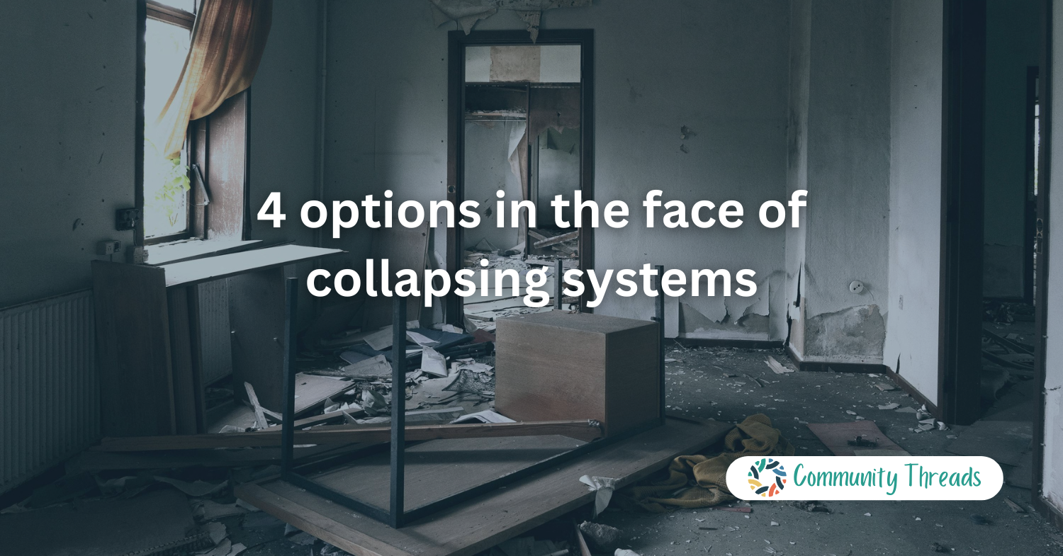 4 options in the face of collapsing systems