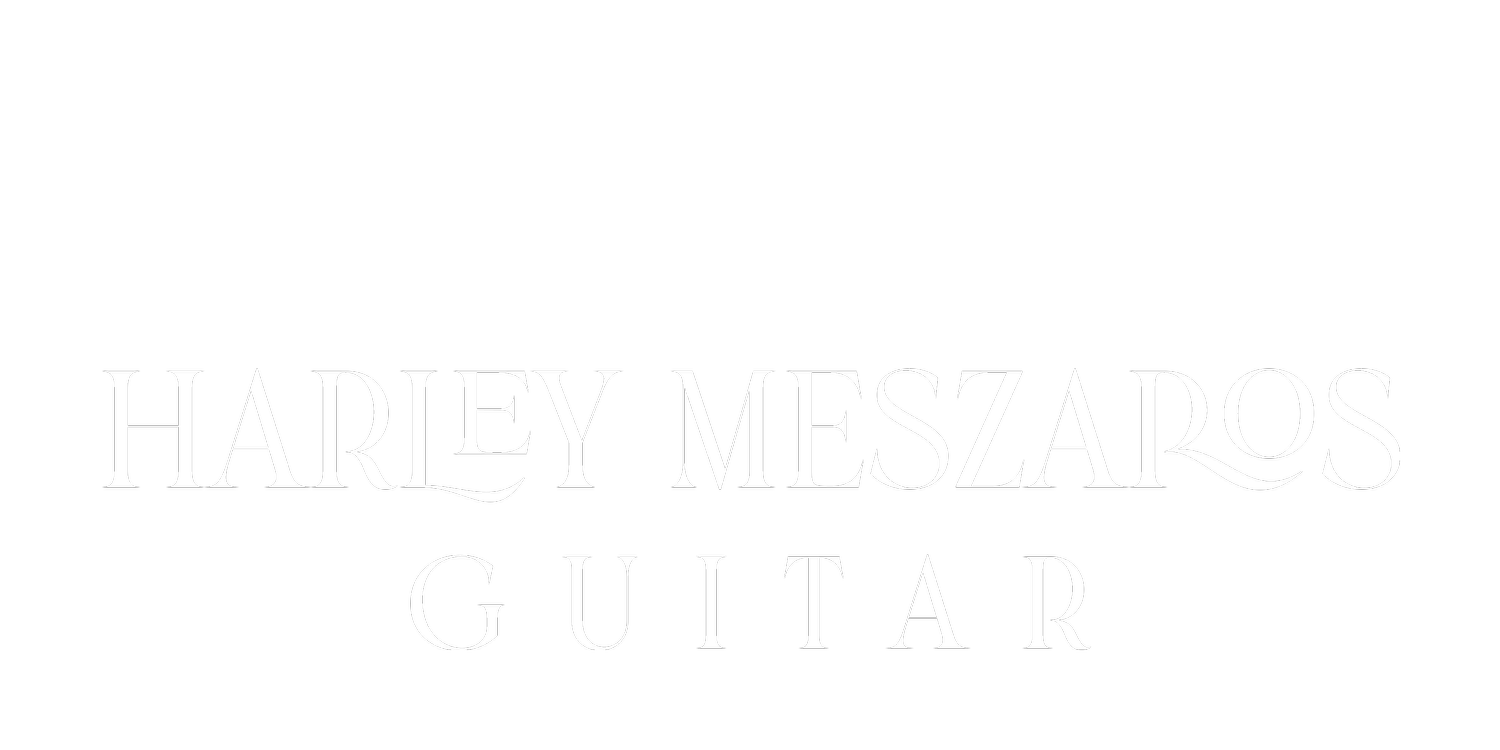 Harley Meszaros Guitar
