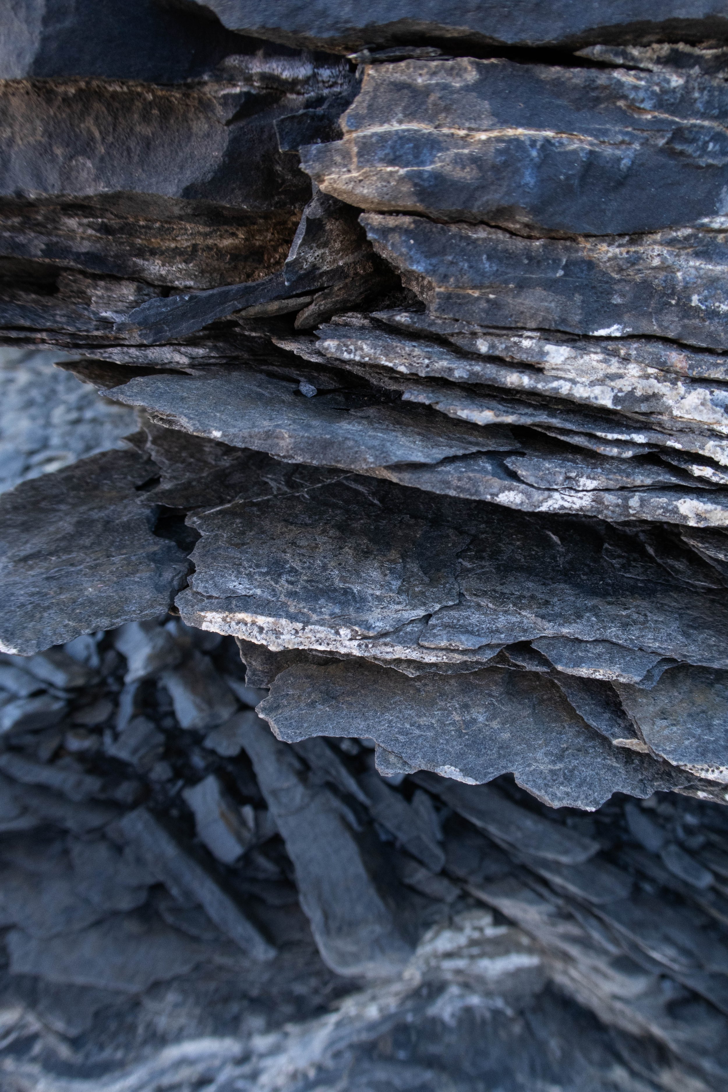 ARCTERYX_NickCusseneers-1858.jpg