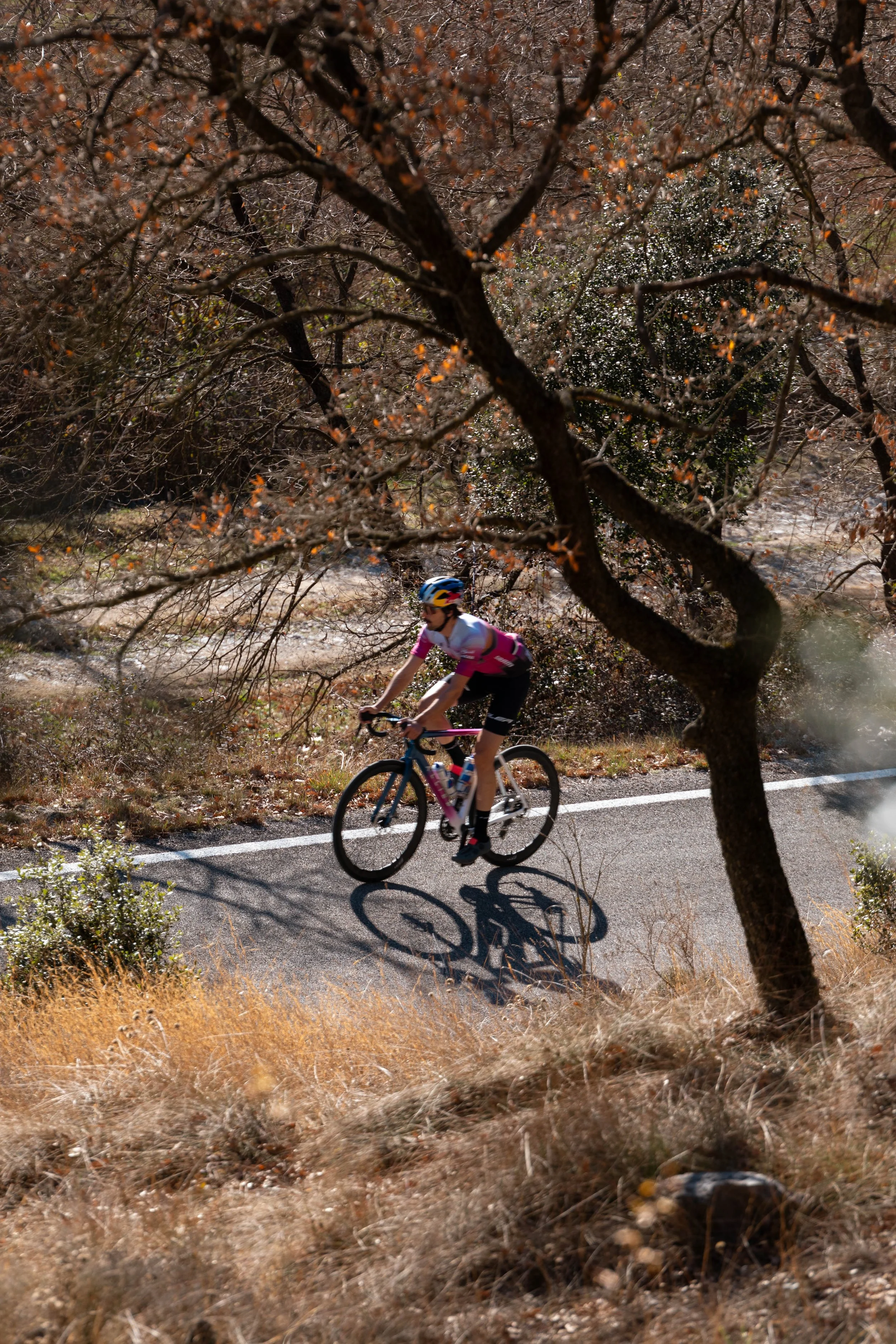 BIKE_NickCusseneers-6772 copy.jpg