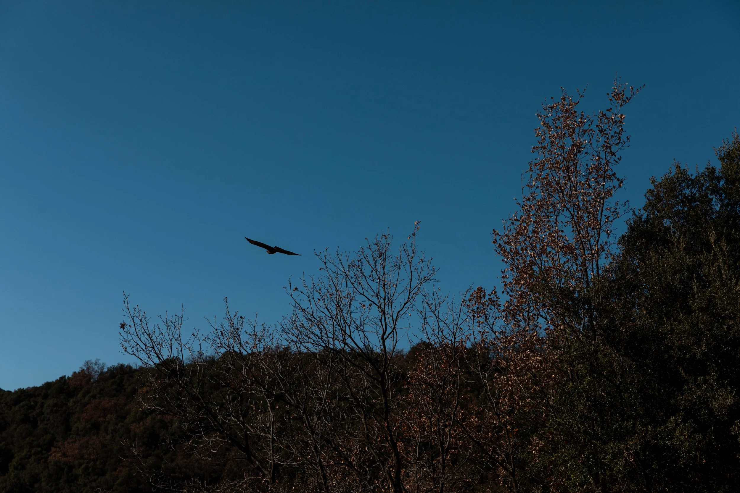 BIKE_NickCusseneers-6853 copy.jpg