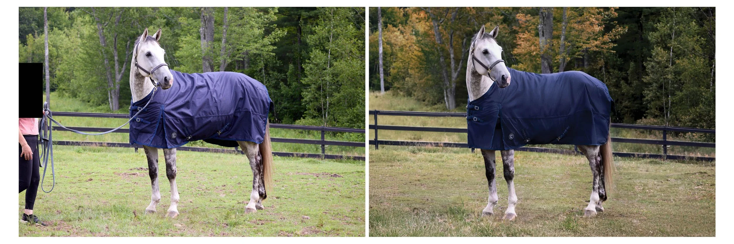 Photographer: Mark Lund for Dover Saddlery