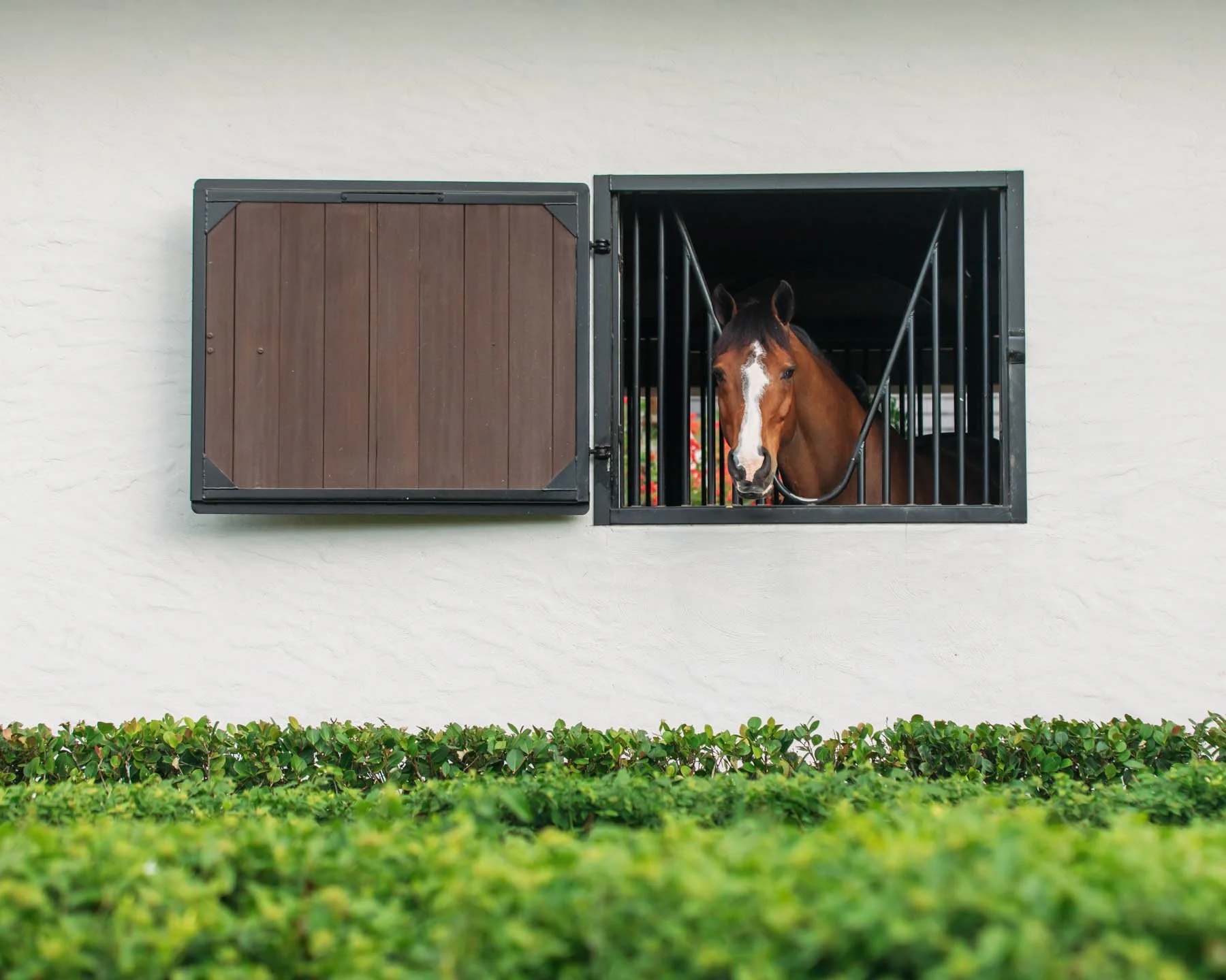IM-Horse_S25_stall window.jpg