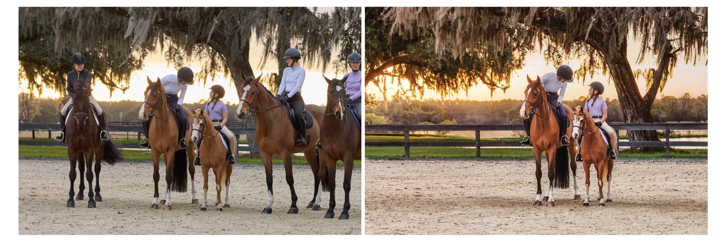 Photographer: Mark Lund for Dover Saddlery