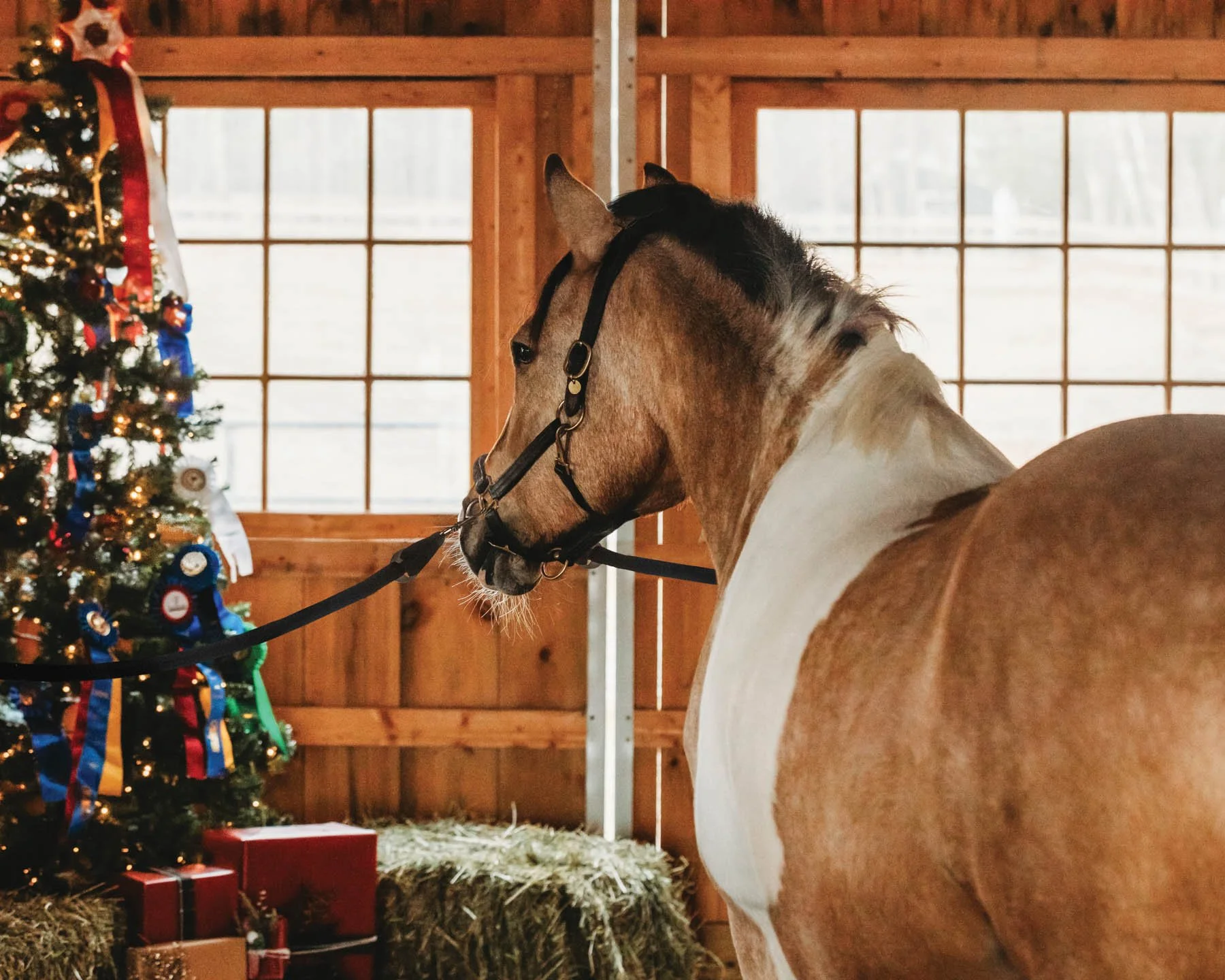 IM-Holiday_F24_barn 1.jpg