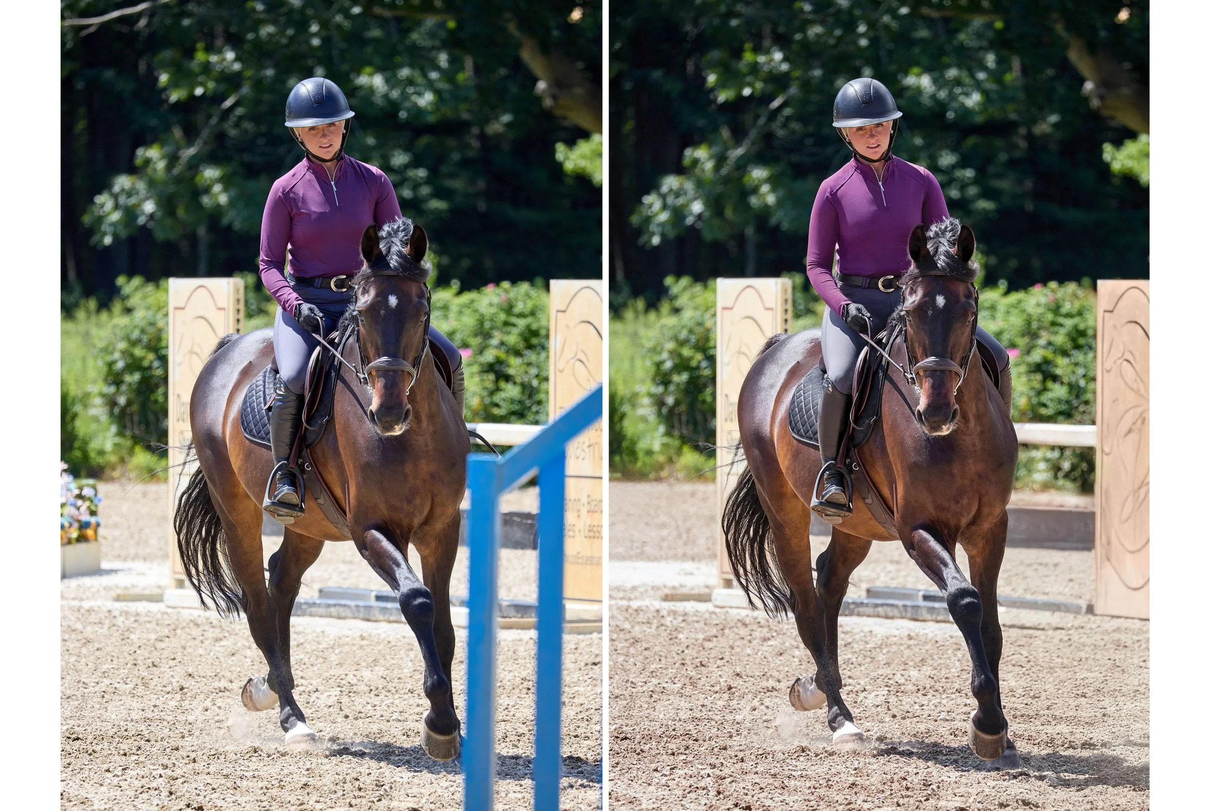 Photographer: Mark Lund for Dover Saddlery