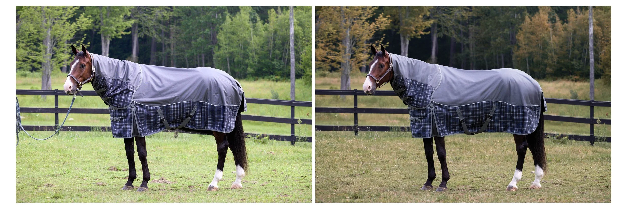 Photographer: Mark Lund for Dover Saddlery