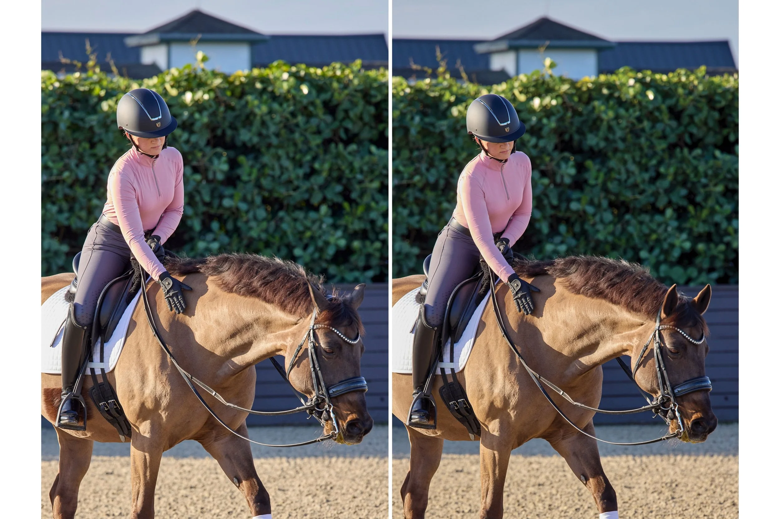 Photographer: Mark Lund for Dover Saddlery