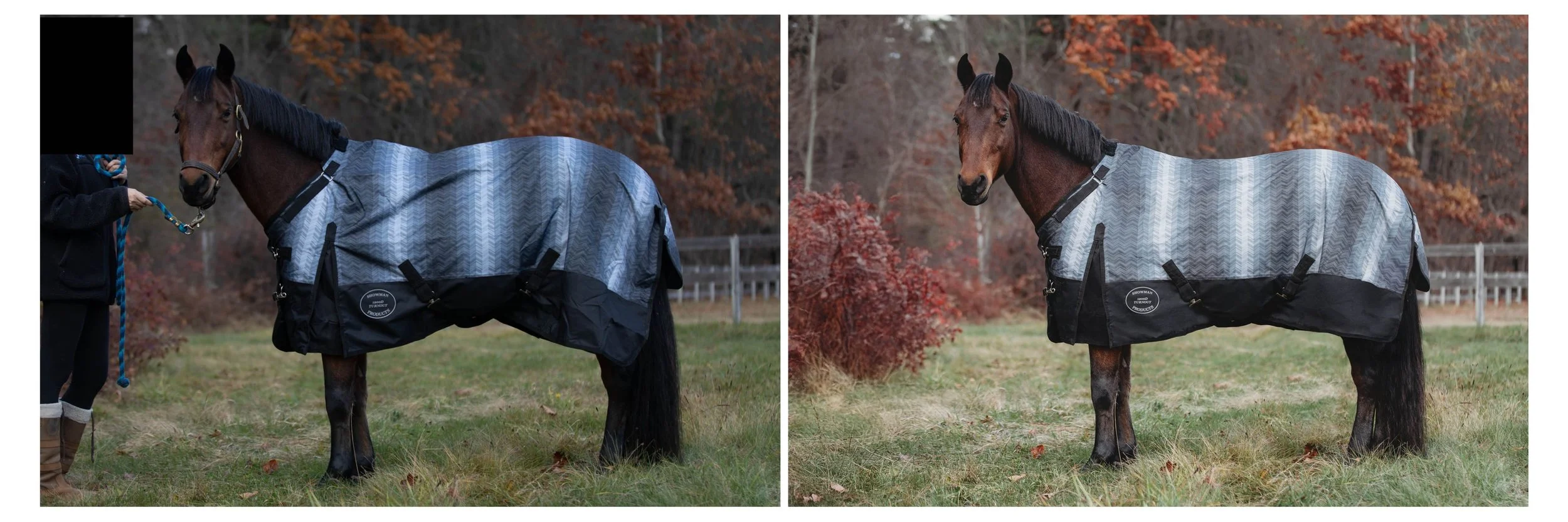 Photographer: Haley McIsaac for Dover Saddlery