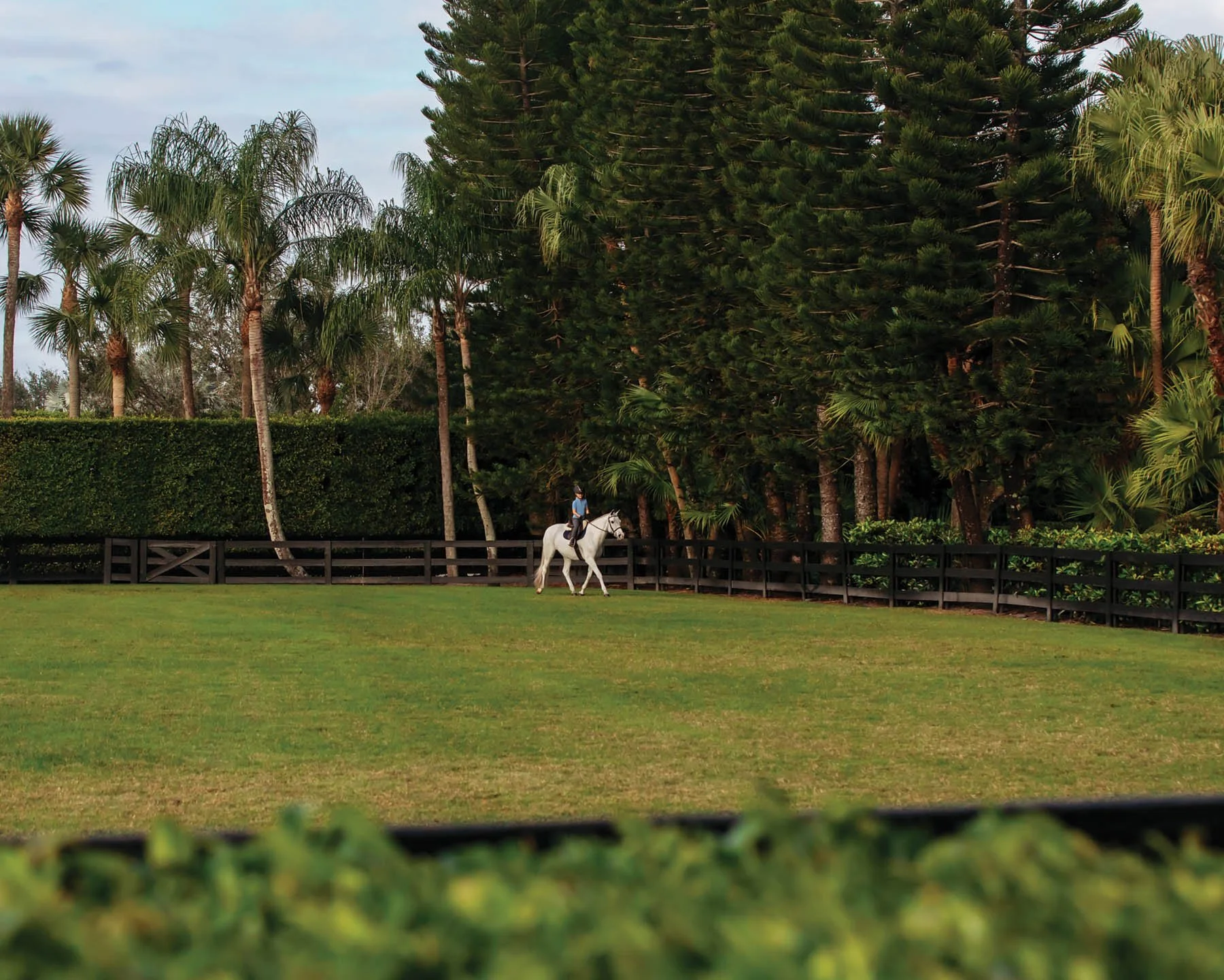 04906922_F25_cornflower blue_lifestyle5_1.jpg