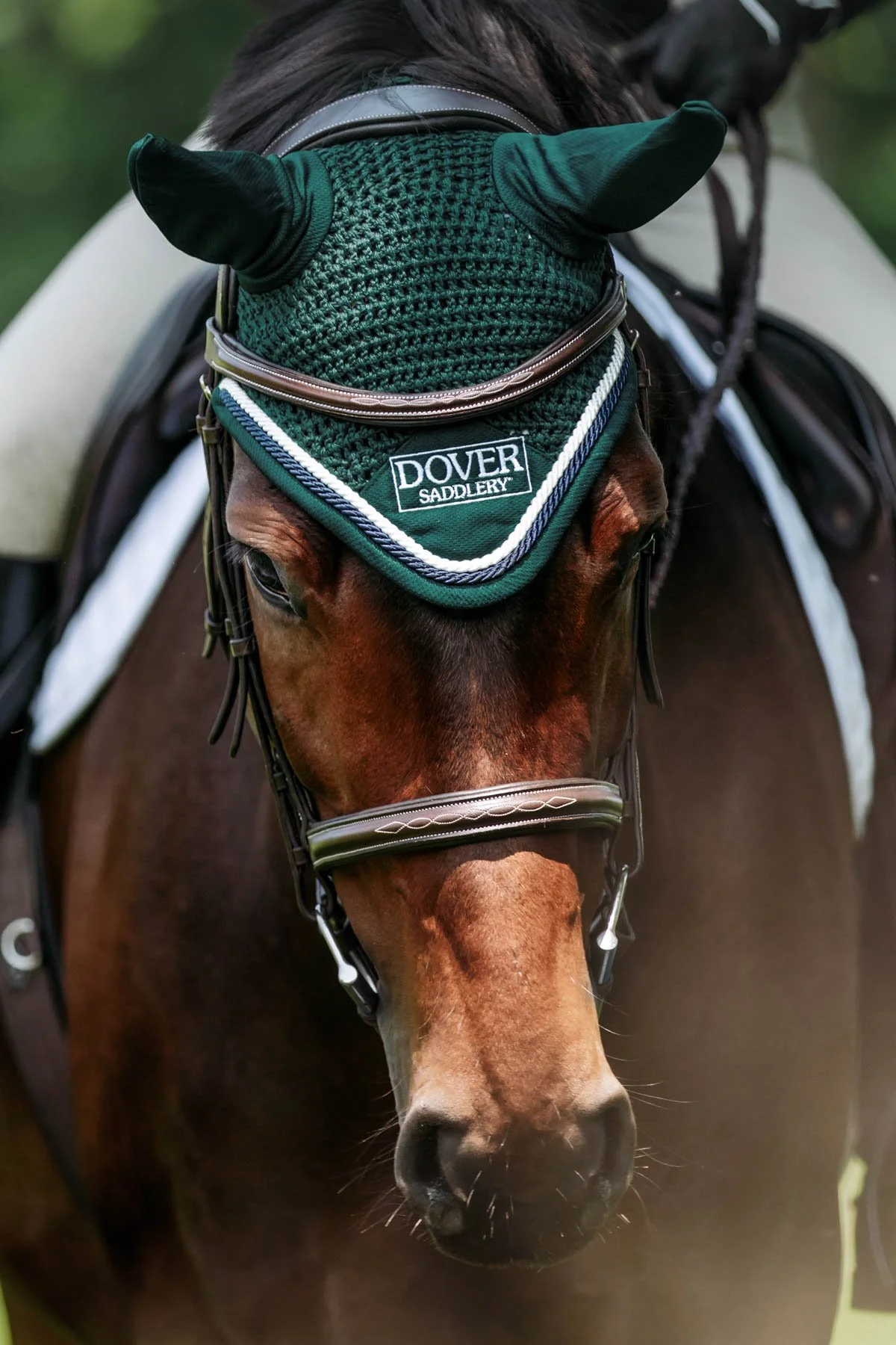 Leavitt Hill June-182.jpg