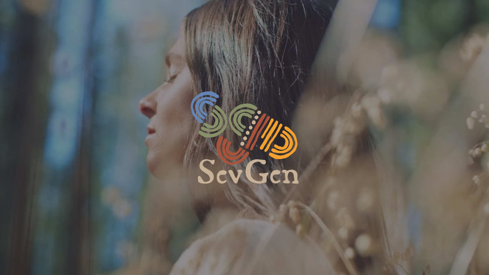 SevGen V1.png