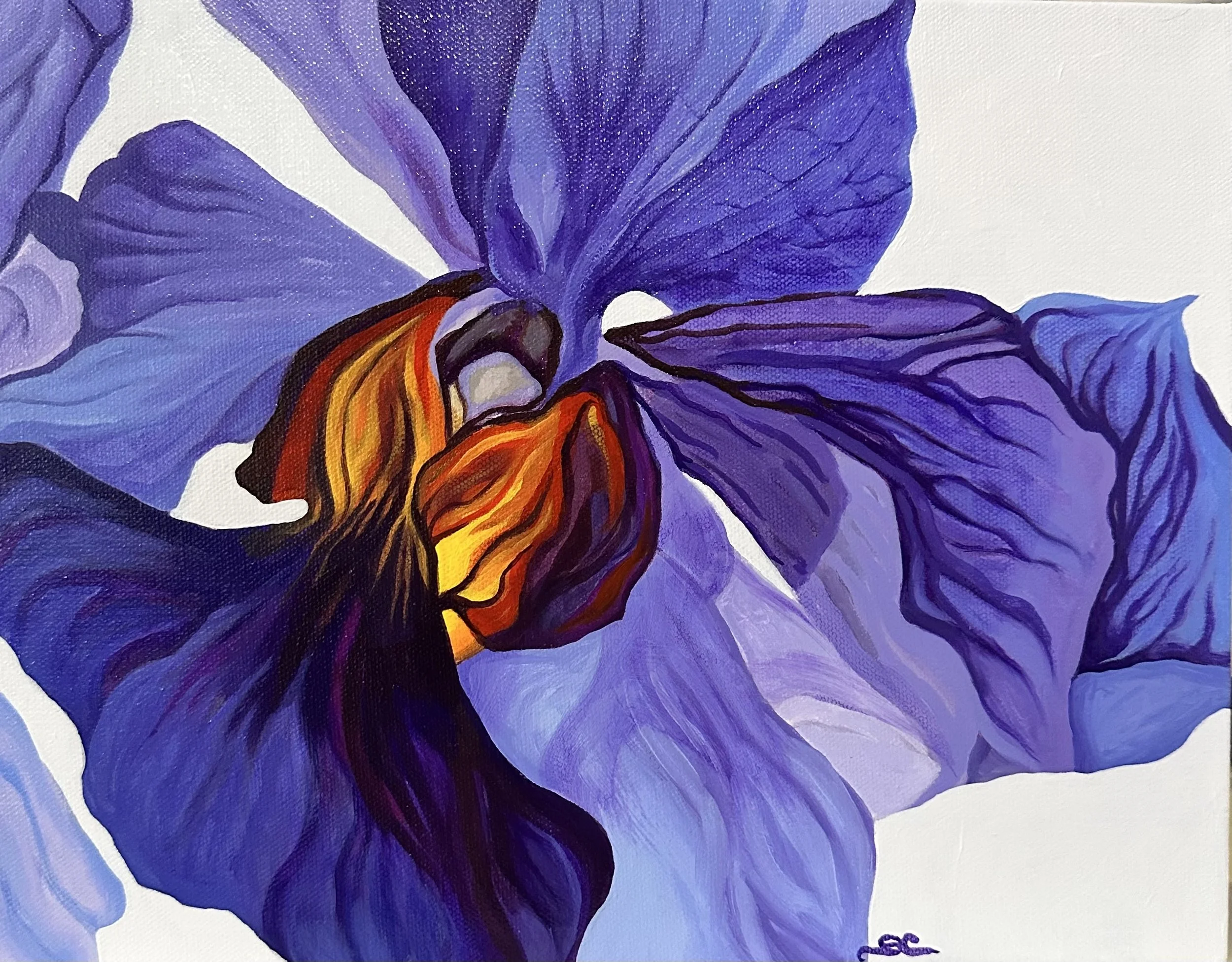 Purple Orchid by Sherry Christopher