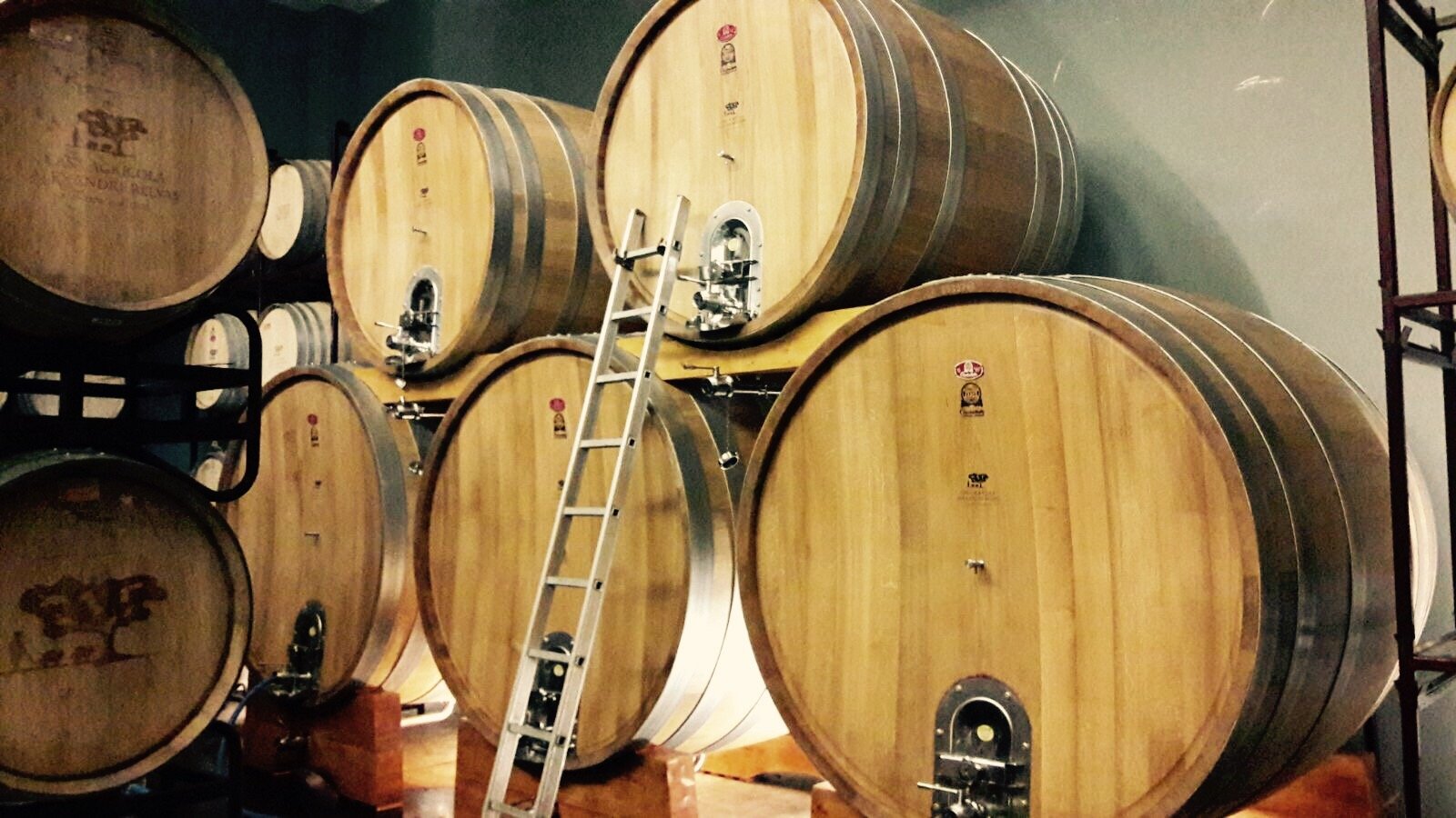 Wine casks, Casa Relvas Winery, Portugal
