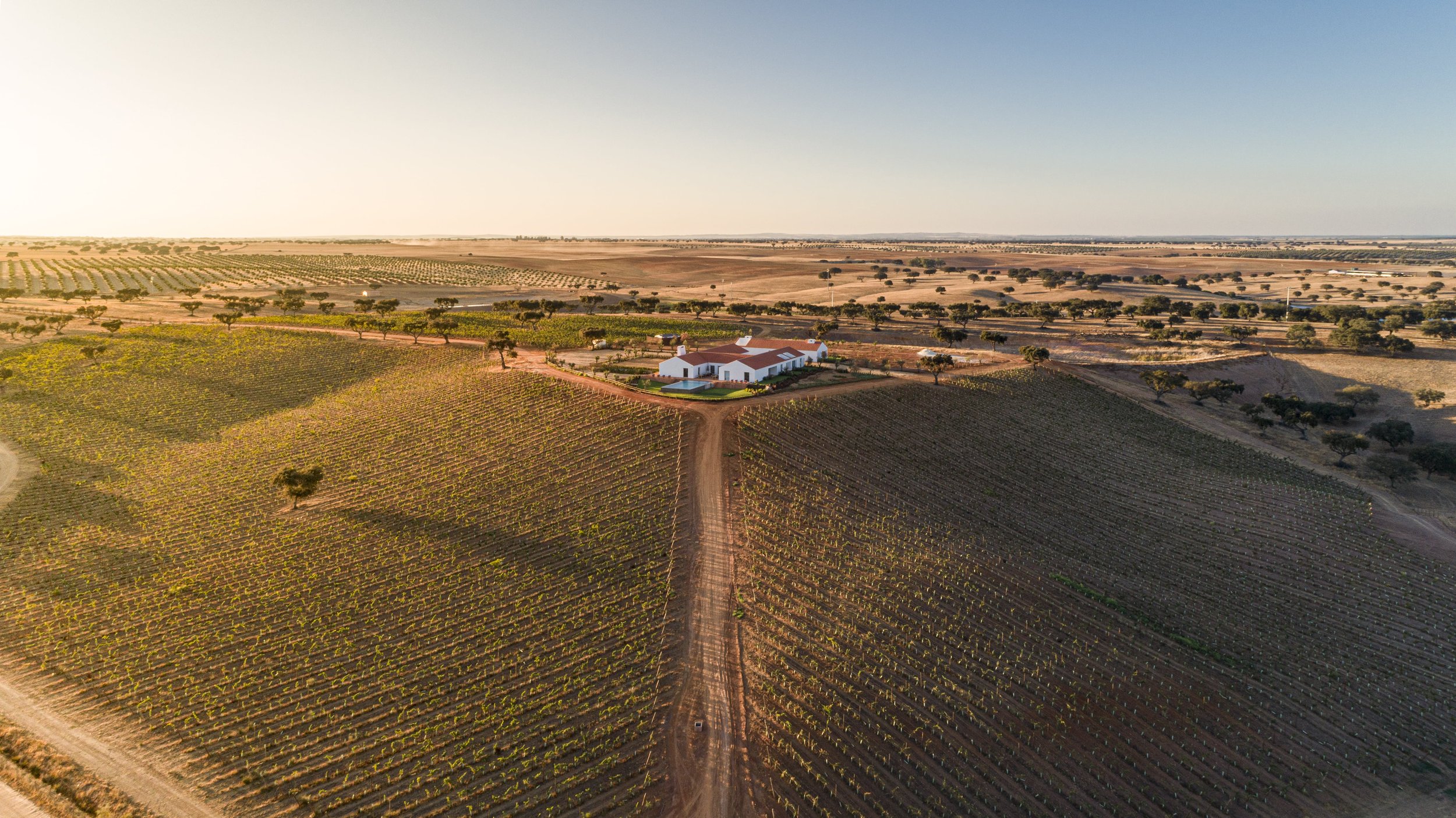 ©joaoguimaraesphotography_HERDADE DA MALHADINHA NOVA_01_2-min.JPG