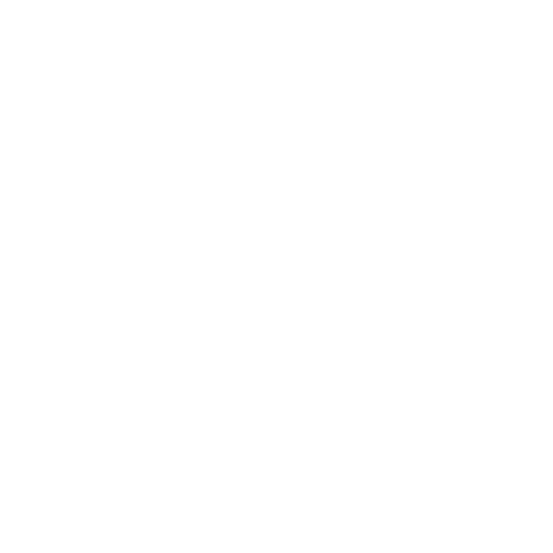 Insight PT and Coaching