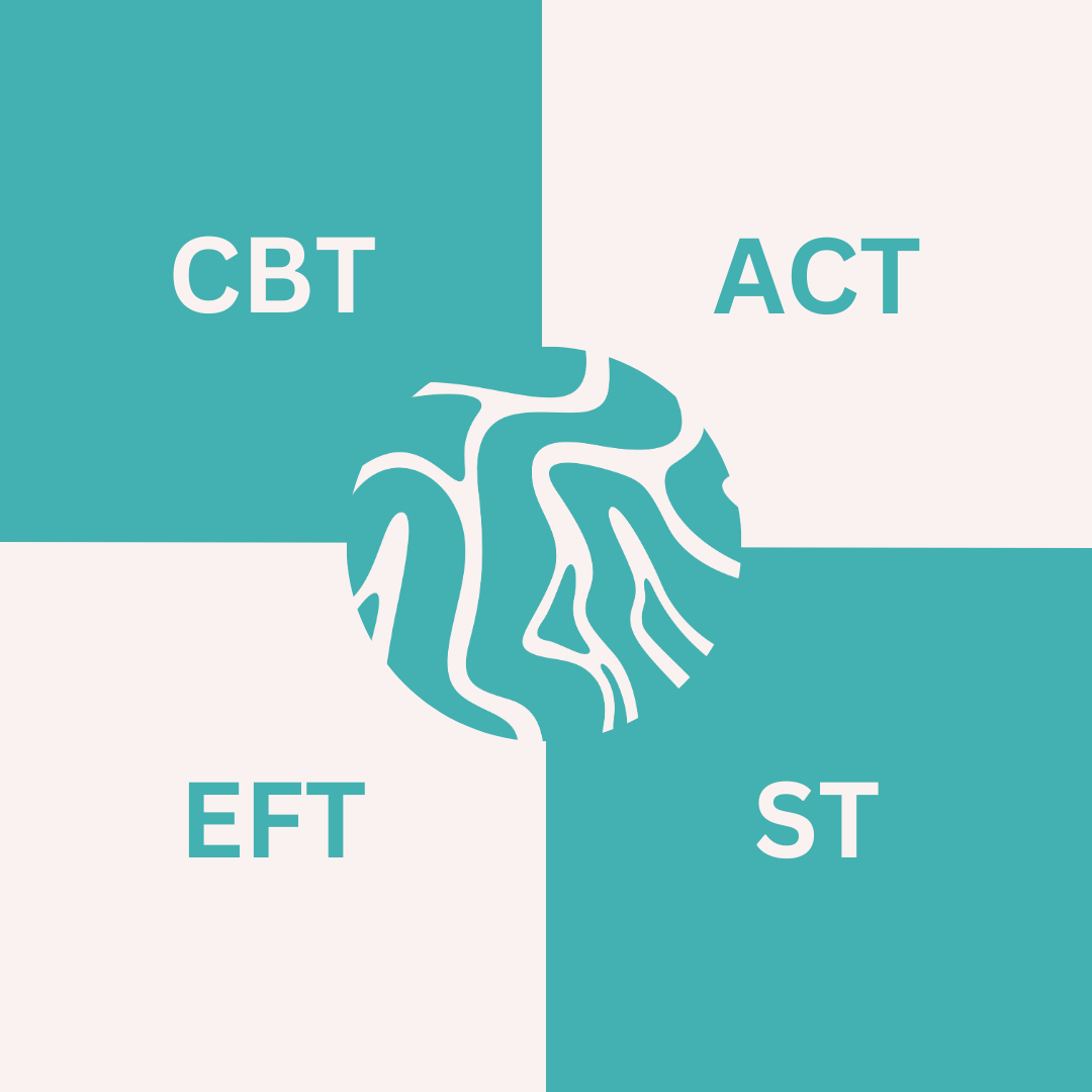 Terapie Cognitiv-Comportamentală CBT, Terapie prin Acceptare și Angajament ACT, terapie Focalizată pe Emoții EFT, terapia Schemelor ST.
