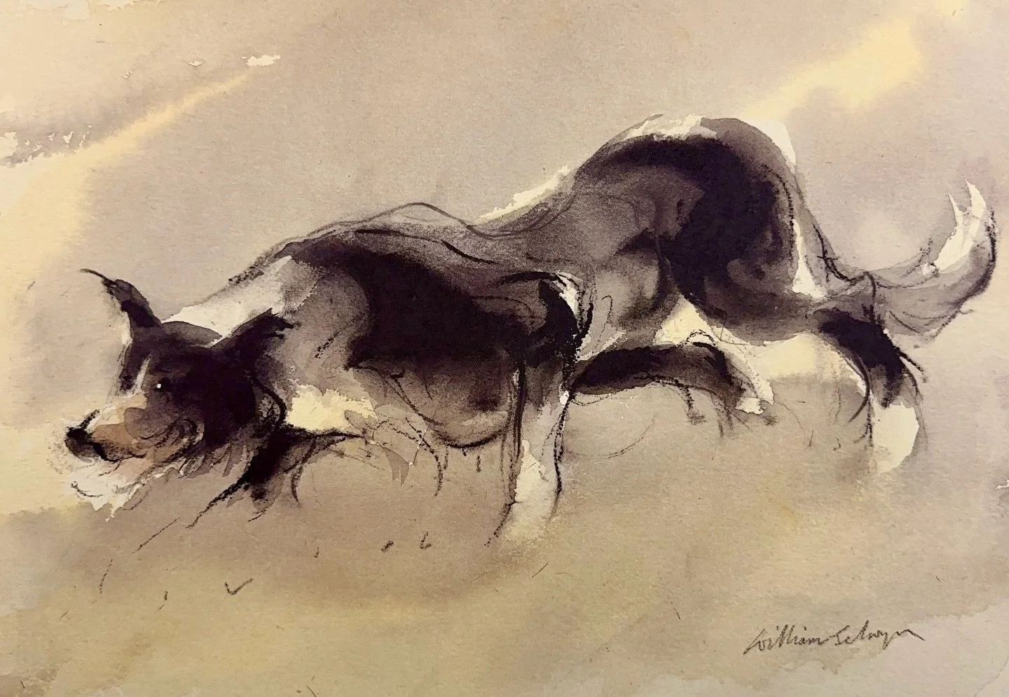 William Selwyn

All the wisps of hair &amp; fluff and that collie stance reminds me of my dog Ted. 

Selwyn captures the working dog brilliantly here, so real I can almost smell a wet sheepdog on the back of the quad.

I love border collies ❤️ 

Comi