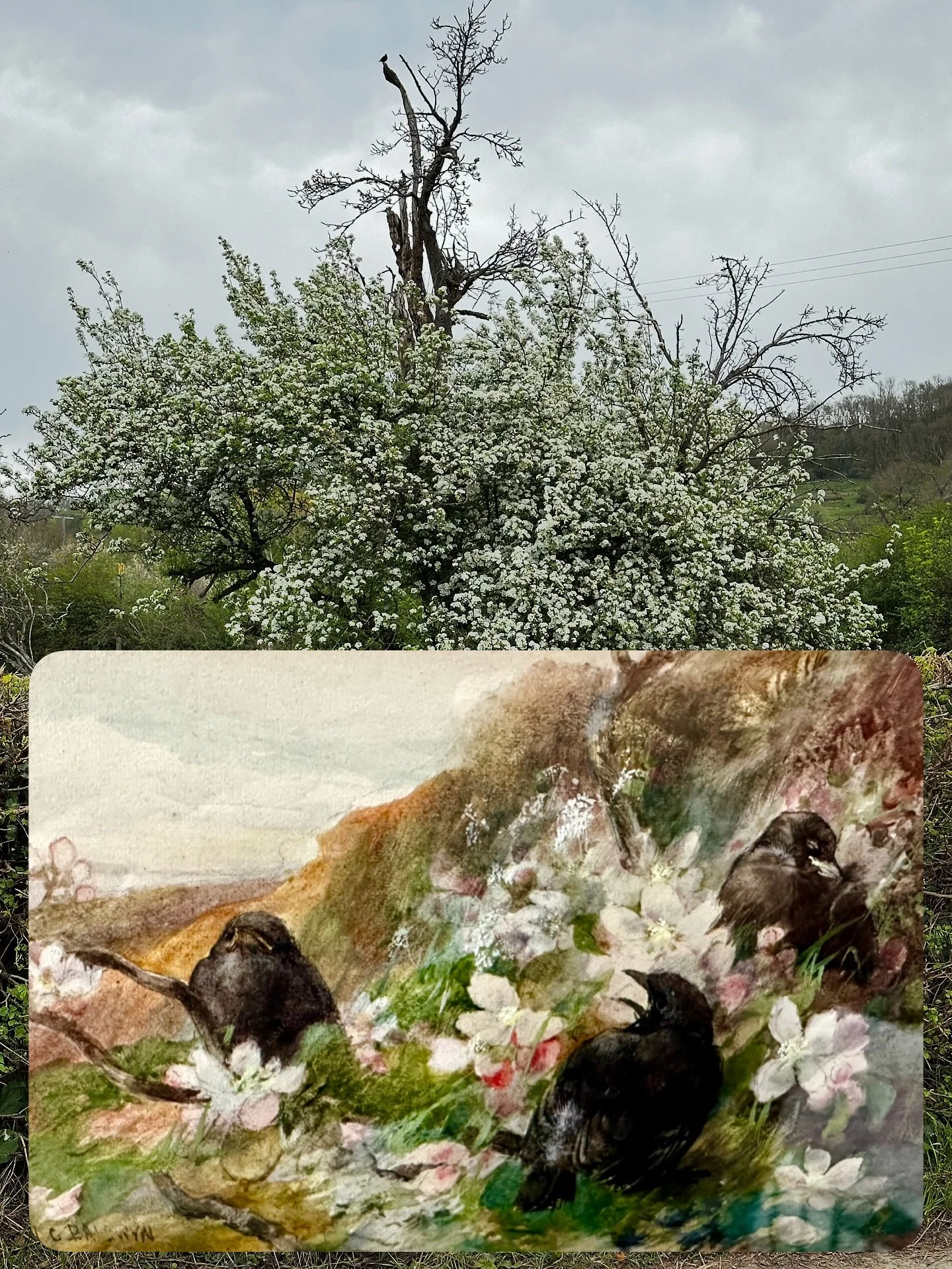 Charles Henry Clifford Baldwyn
1859 - 1943

Watercolour

Feels a bit like Spring in the Cotswolds, still a few grey clouds.

#cotswolds #springdecor #britishartist #rastallart