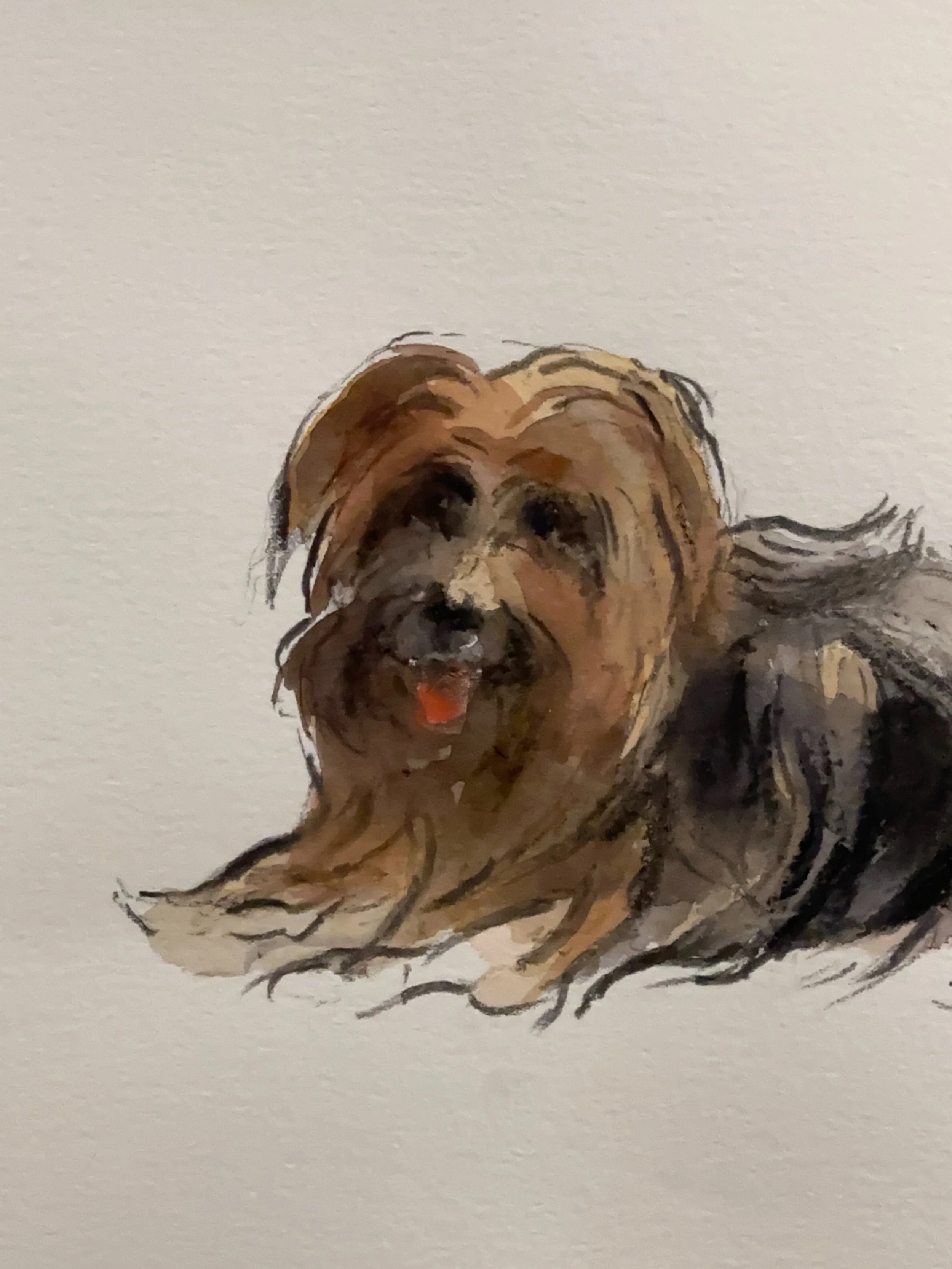 William Selwyn  b.1933

An original watercolour on our stand today at Buxton. Last day of the show if you fancy getting out for a Sunday &lsquo;walkies&rsquo;

Thank you to everyone who has visited so far, lovely to see everyone. A fresh selection of
