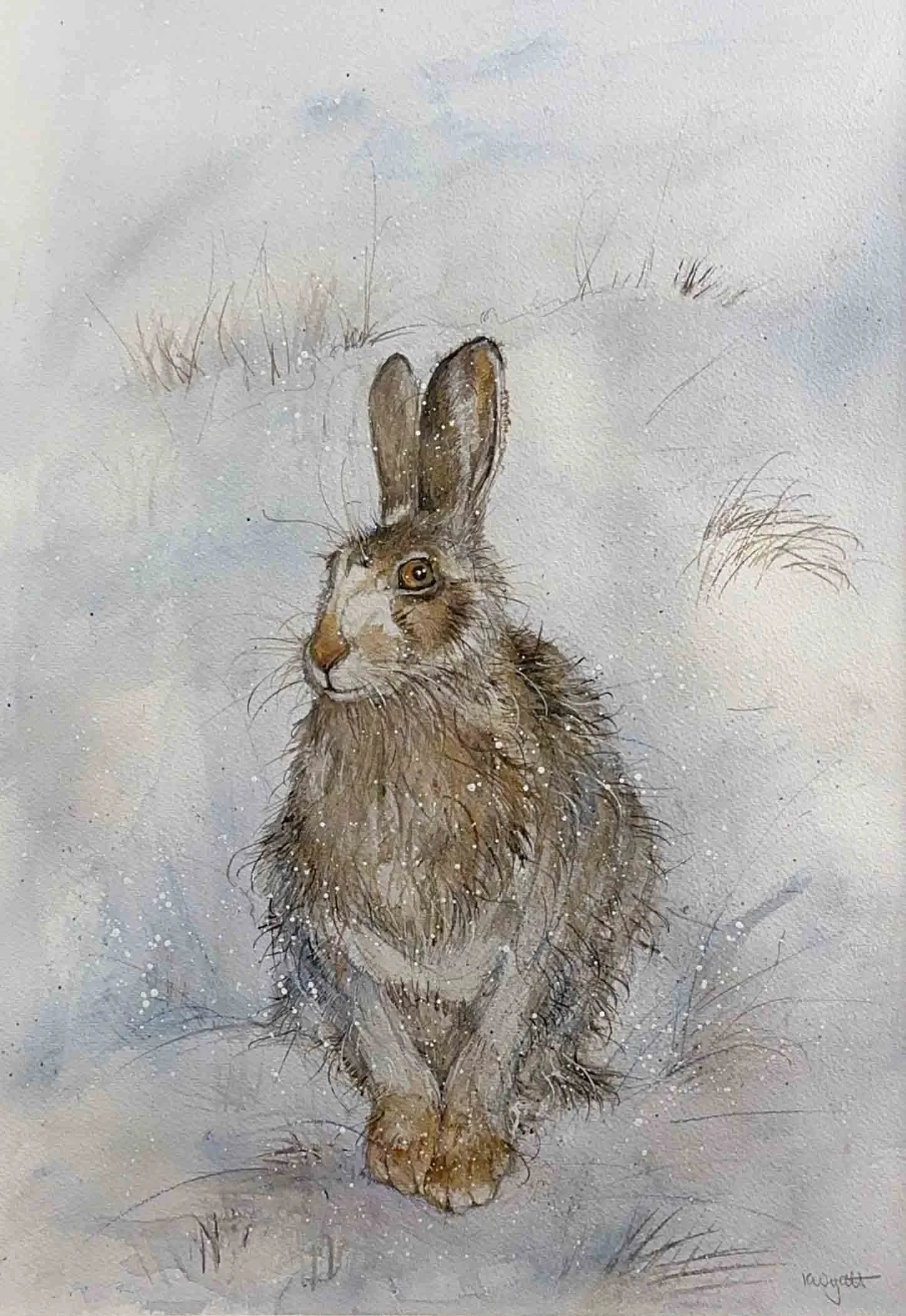 Kate Wyatt - Elen (Rabbit) - Original Art - watercolour without frame.jpg