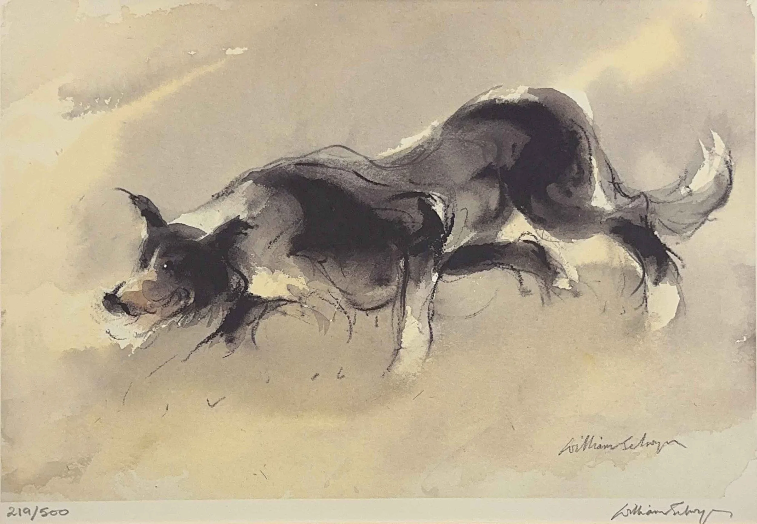 William Selwyn - Working Sheepdog