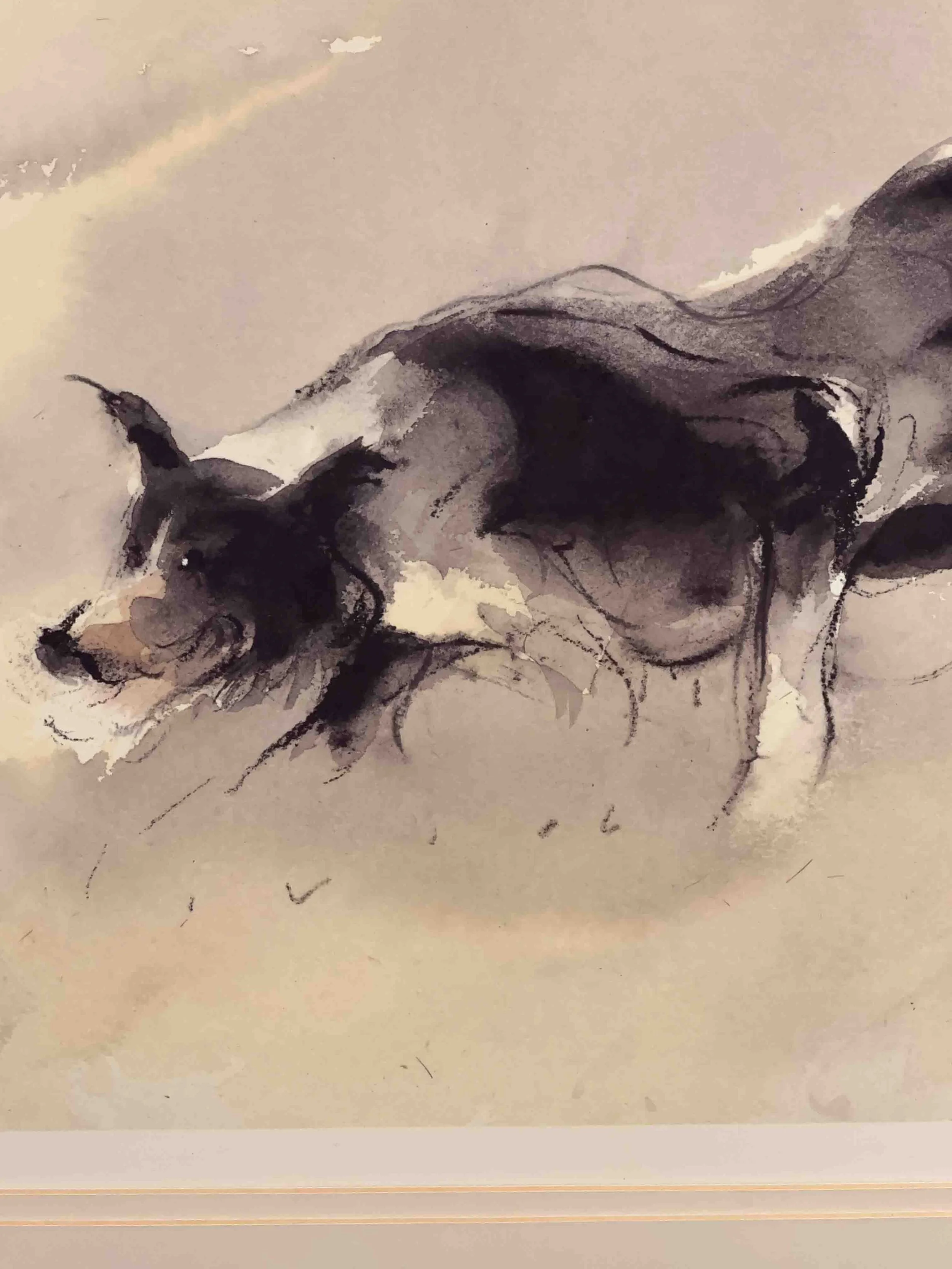 William Selwyn - Working Sheepdog - Face Detail.jpg