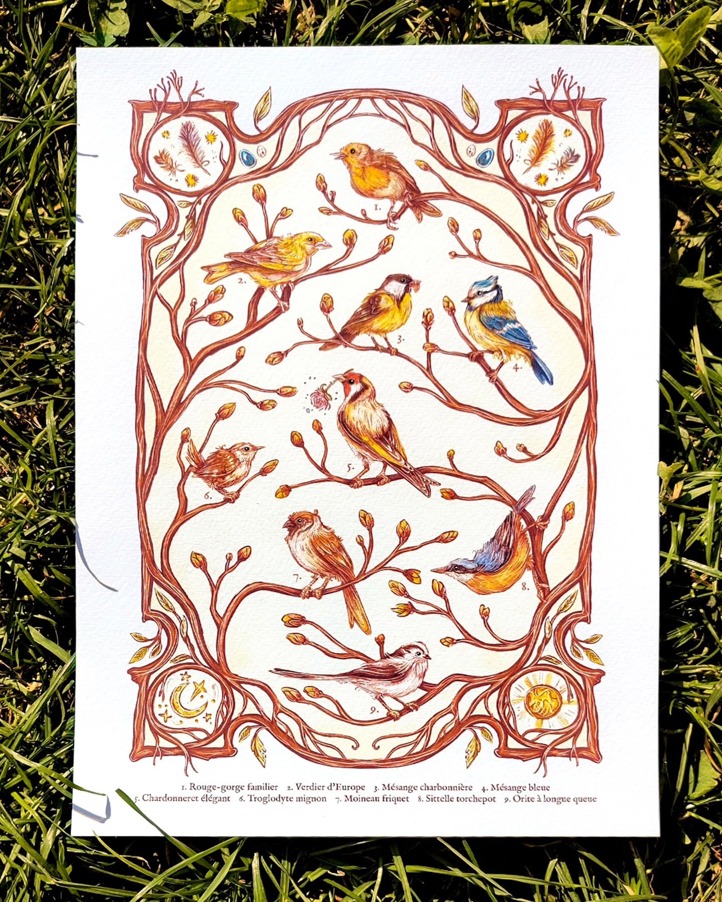 C'est une nouvelle m&eacute;lodie qui envahit les paysages : celle du Printemps avec le retour des oiseaux. Leur chant, leur cri r&eacute;sonnent, du plus grand au plus petit. Ils se r&eacute;approprient les lieux laiss&eacute;s auparavant au vent et