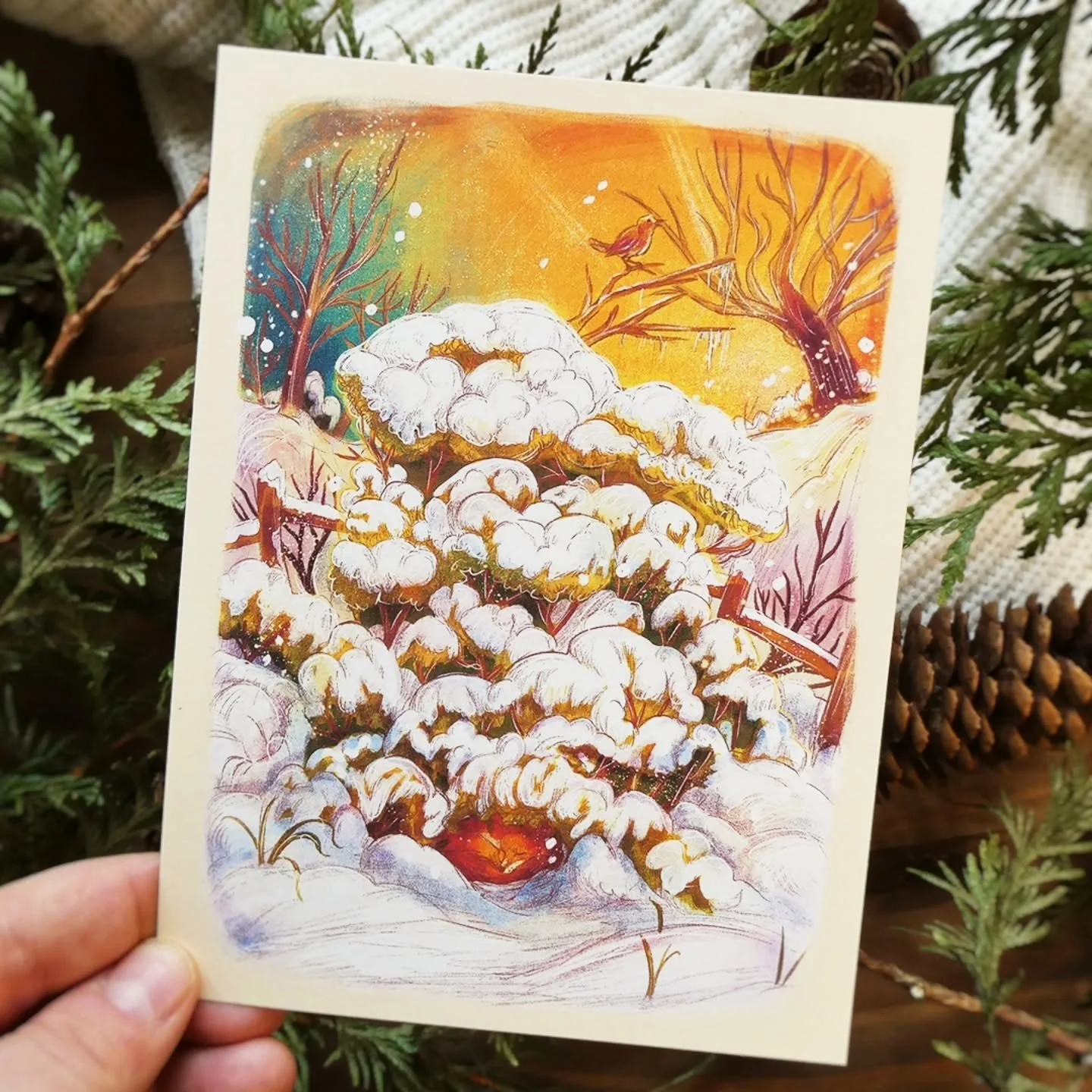 &bull; Des Formes dans la Neige &bull;

Quand la Neige recouvre le paysage, nous avons une impression d'absence comme si toute la nature avait disparu.

Dans ce d&eacute;sert blanc, d'autres formes se dessinent et r&eacute;v&egrave;lent parfois la pr