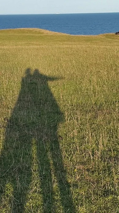 Schatten von zwei Personen, wovon eine den Arm ausstreckt, um den Weg zu weisen.