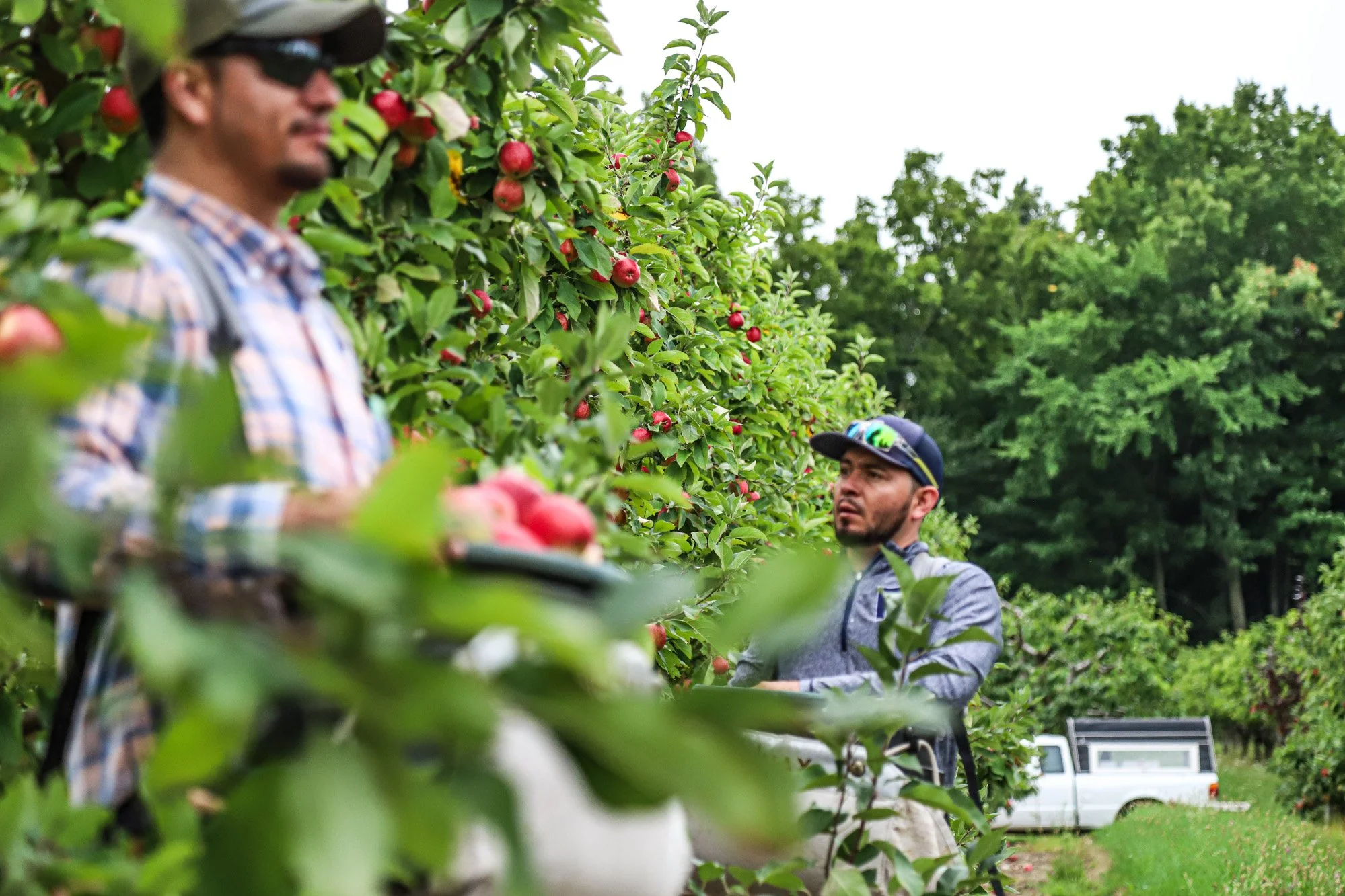Roy Rennhack The Farm — Rennhack Orchards Market