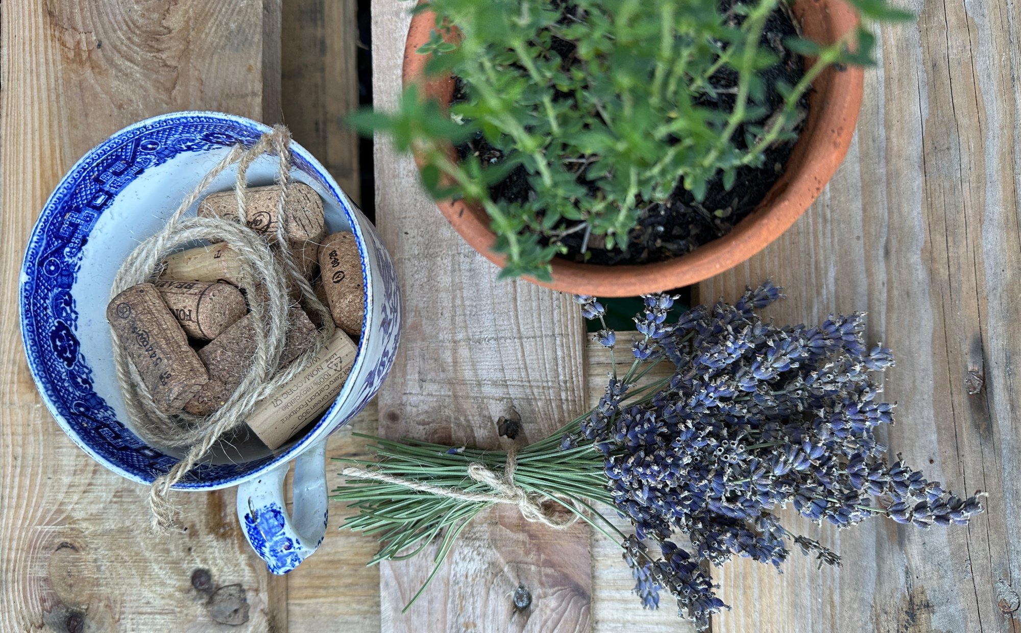 bunch of dried lavender herb pot and blue white teacup