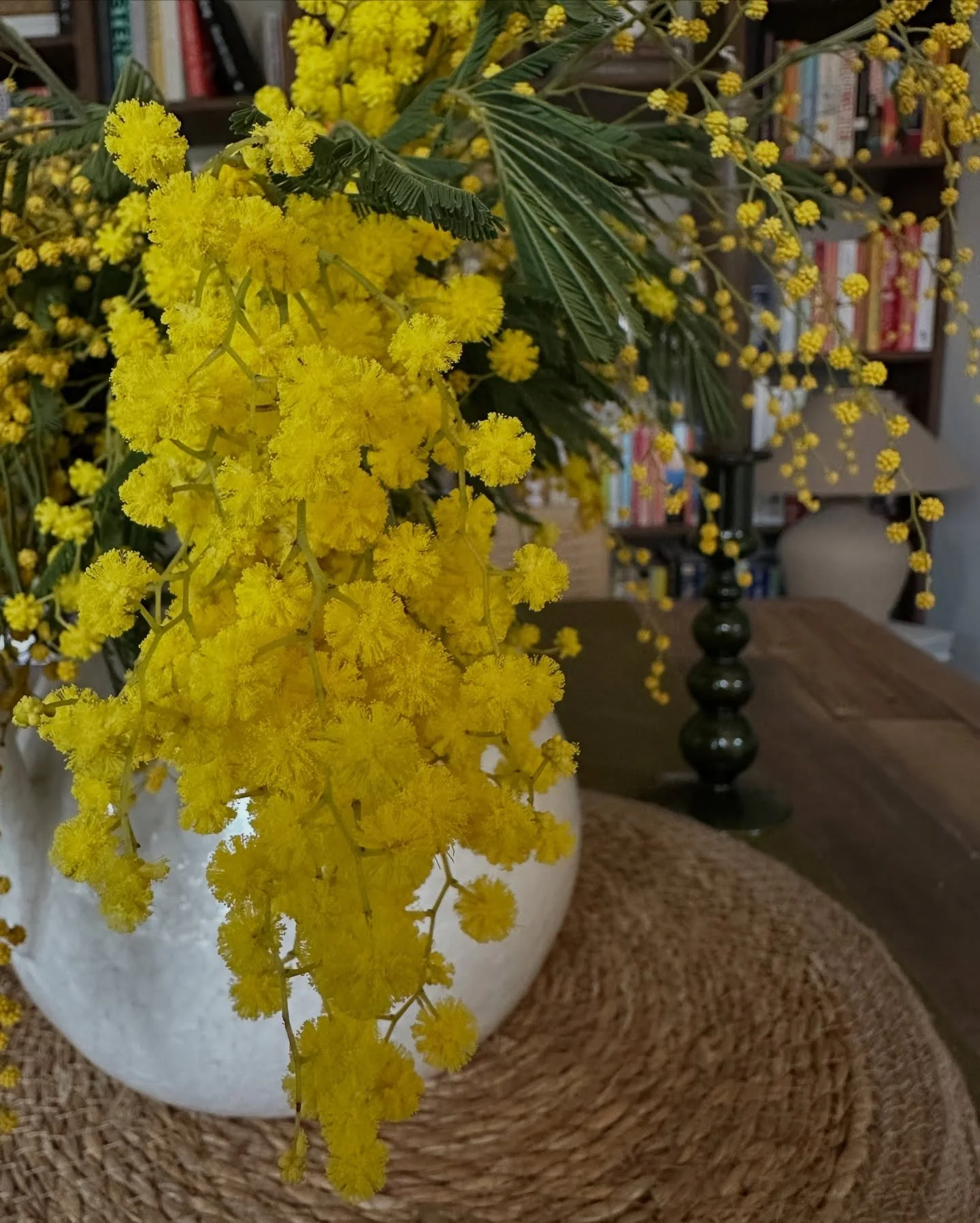 Early spring mood: Ignoring the return of the rain and focusing on the small glimmers of spring with a frenzy of fragrant mimosa, vintage china hunting, fresh baked blueberry muffins (thanks H!) and double-headed daffodils. 🌼🌾💛 And an addition to 